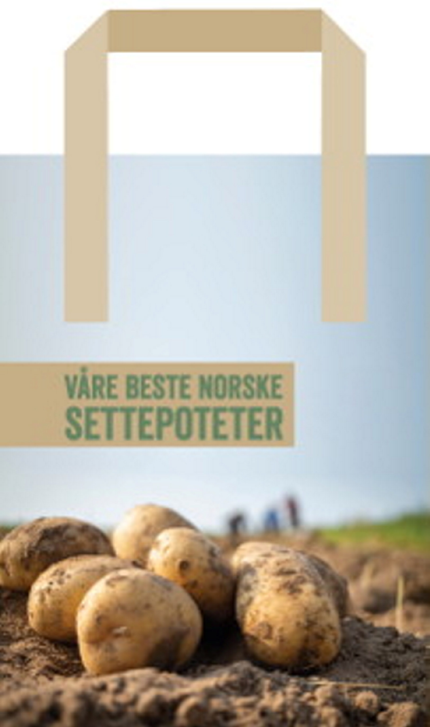 Utsädespotatis 4 sorters blandning