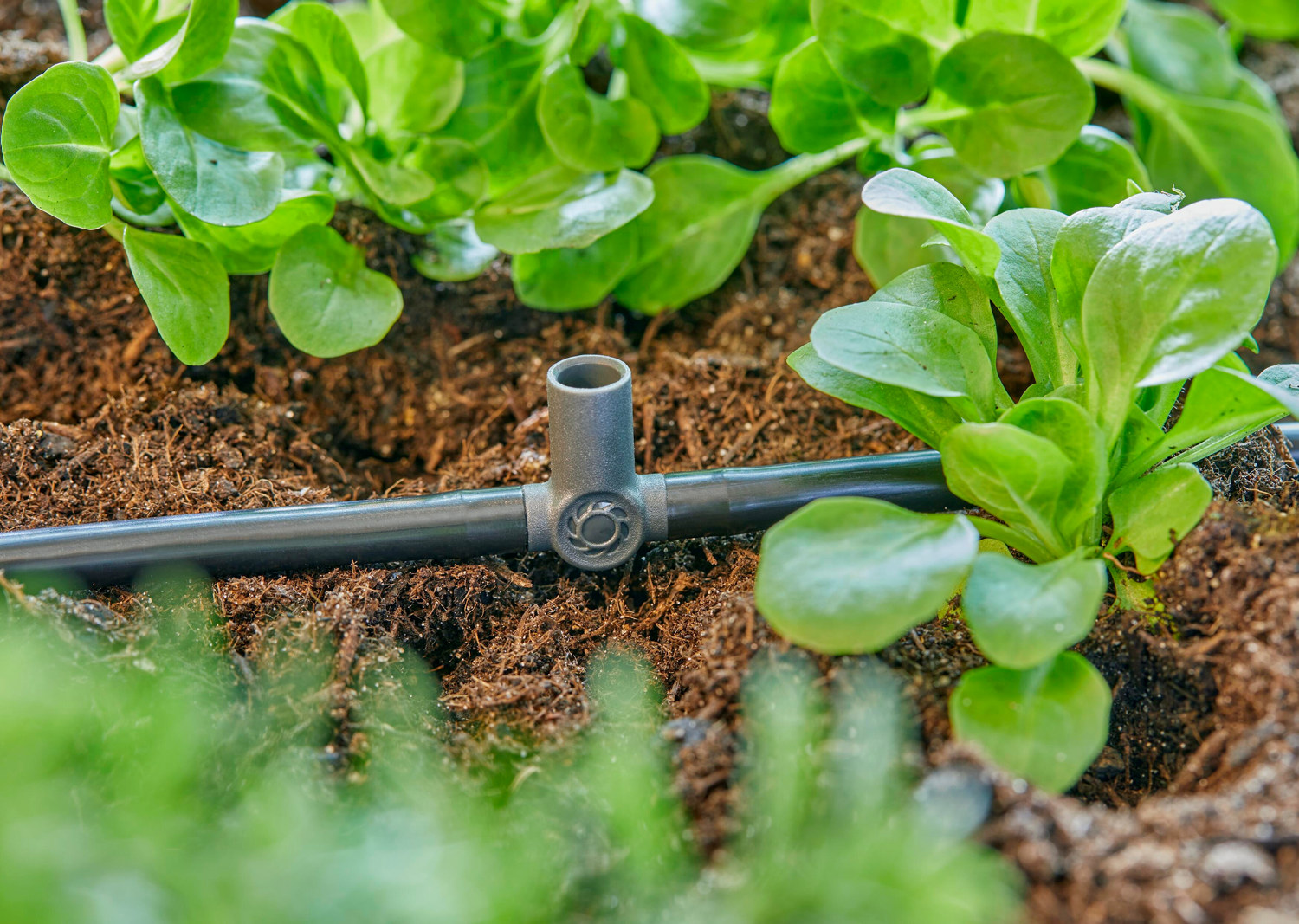 T-koppling med spridarfäste 4,6 mm GARDENA