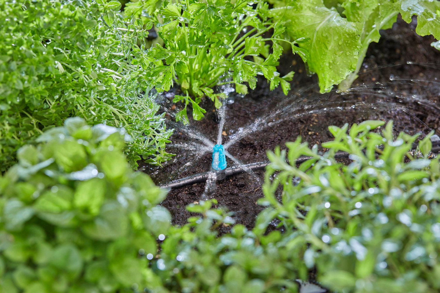 Ytspridare 10st GARDENA