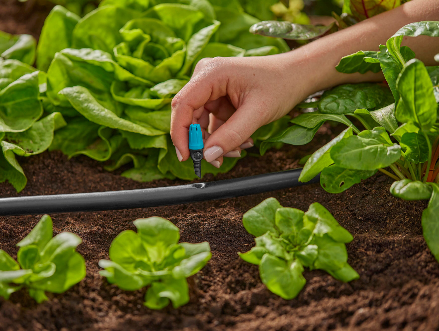 Ytspridare 10st GARDENA