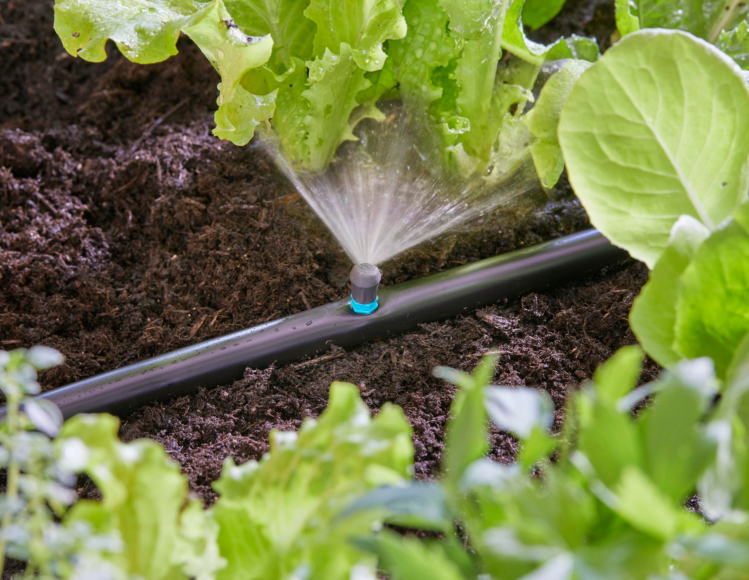 MDS Spray Nozzle 90°