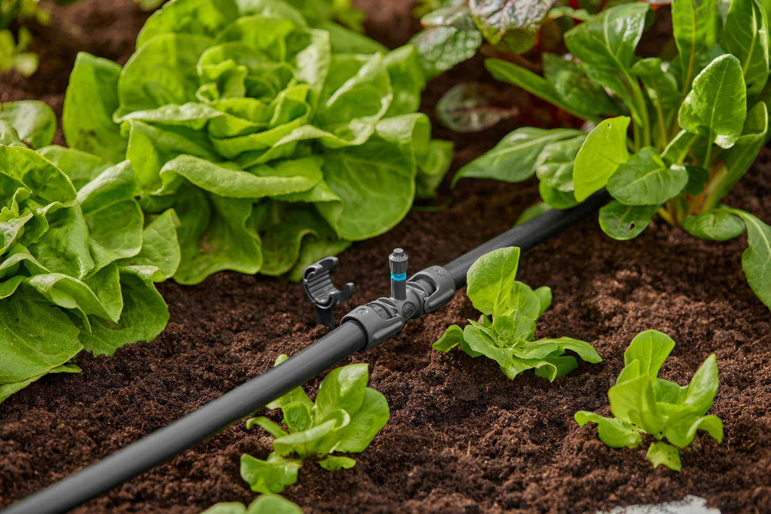 Sprederdyse 360° GARDENA