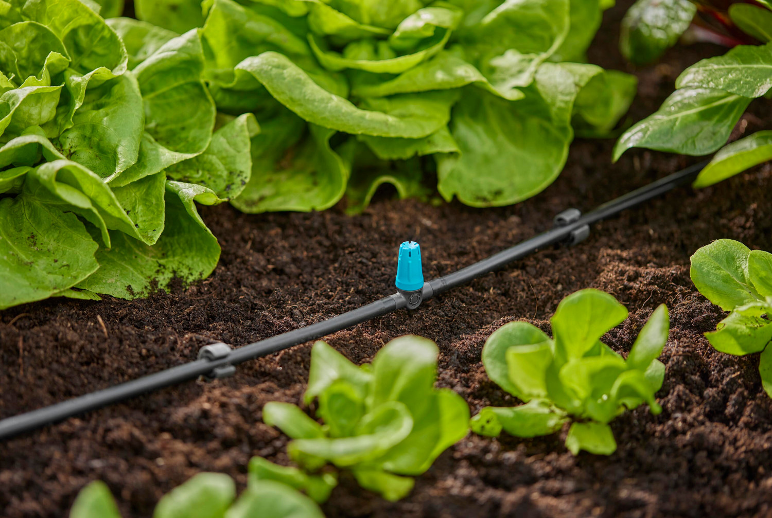 Inline Ytspridare GARDENA