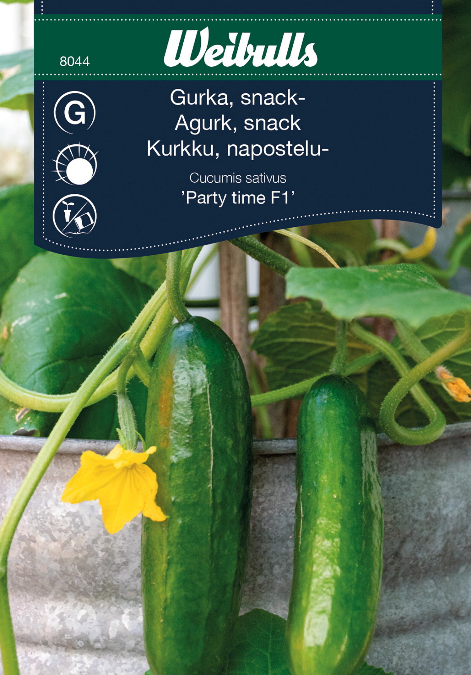 Snackgurka 'Party time F1'