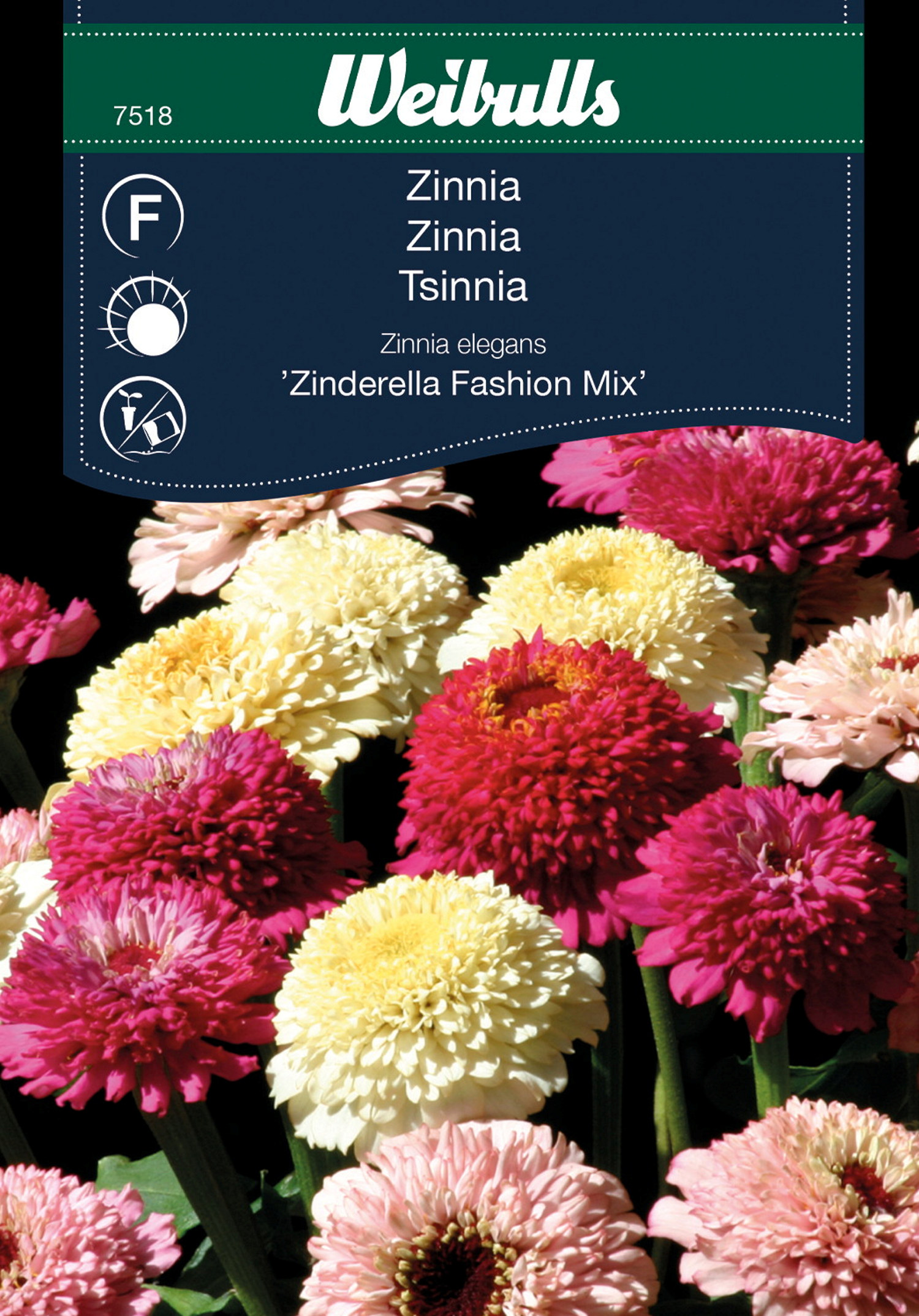 Zinnia Zinderella Fashion mix