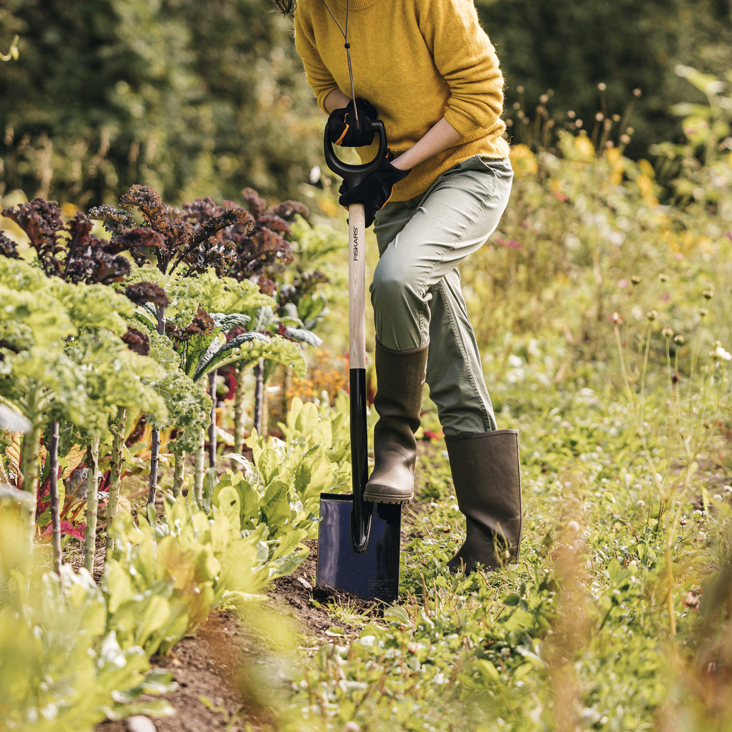 Spade spetsig Prima FSC