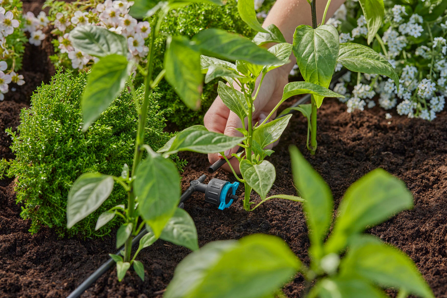Inline droppspridare ställbar och tryckreglerande GARDENA