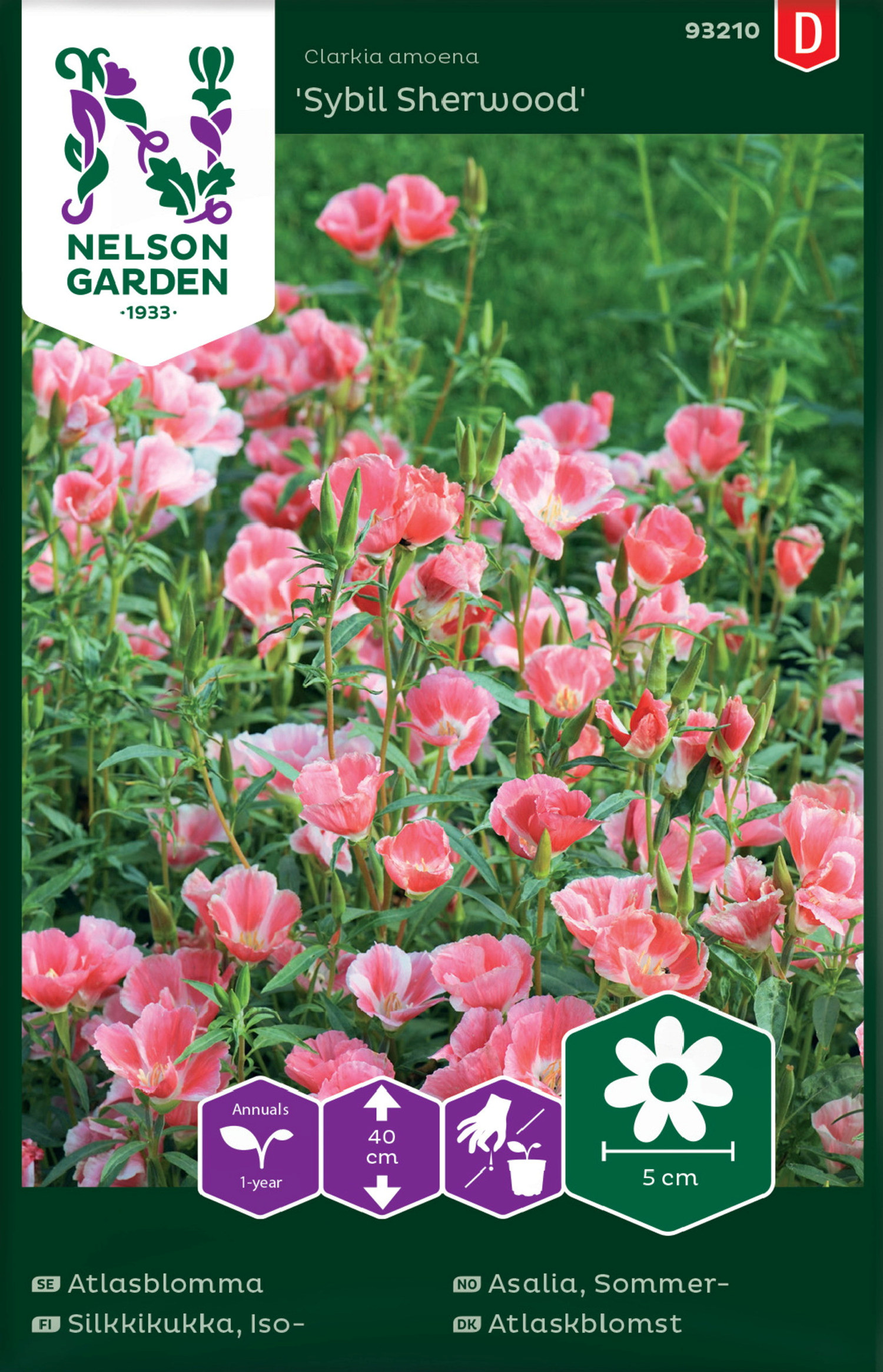 Asalia, Sommer-, Sybil Sherwood