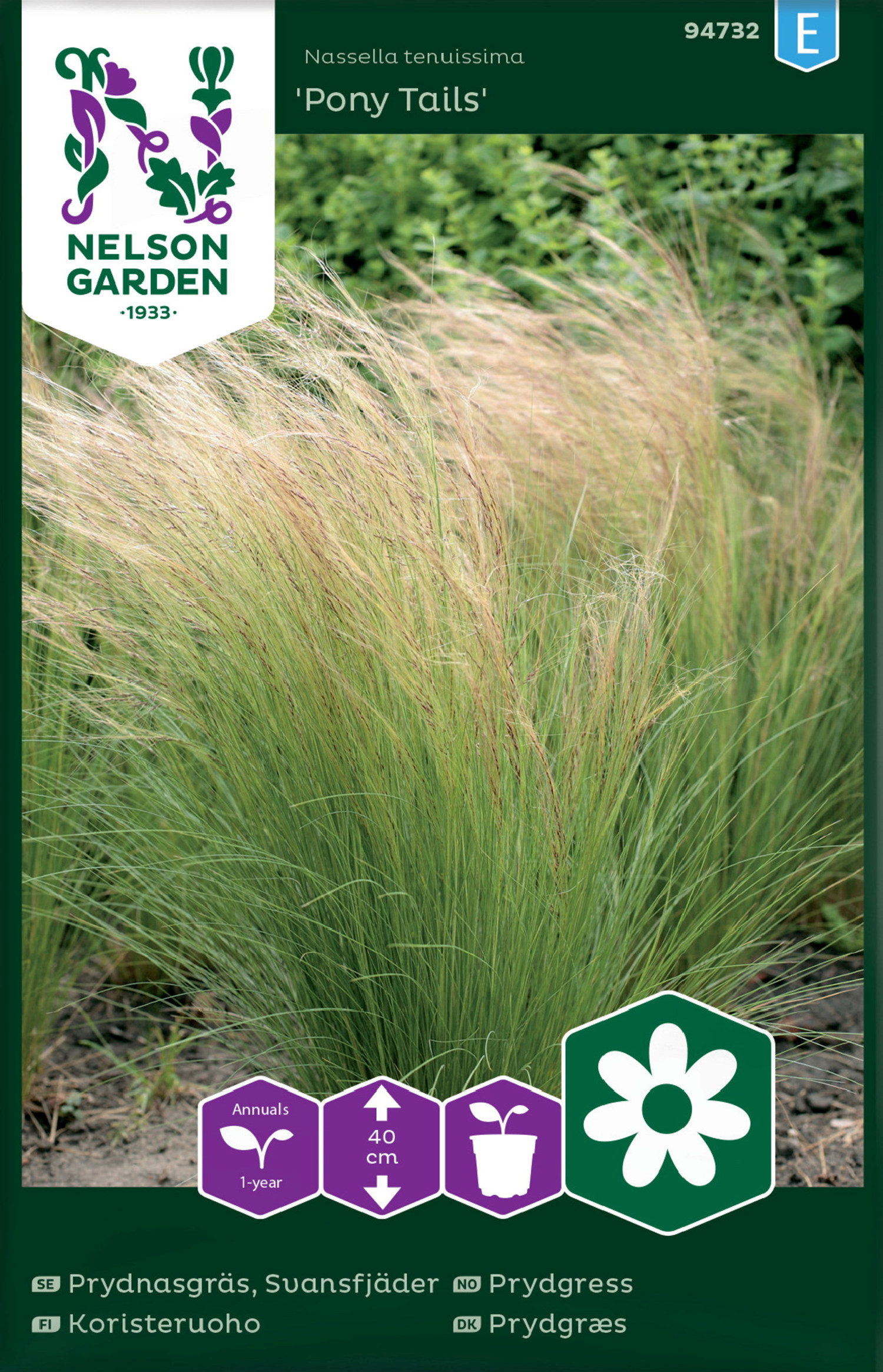 Prydnadsgräs, Pony Tails