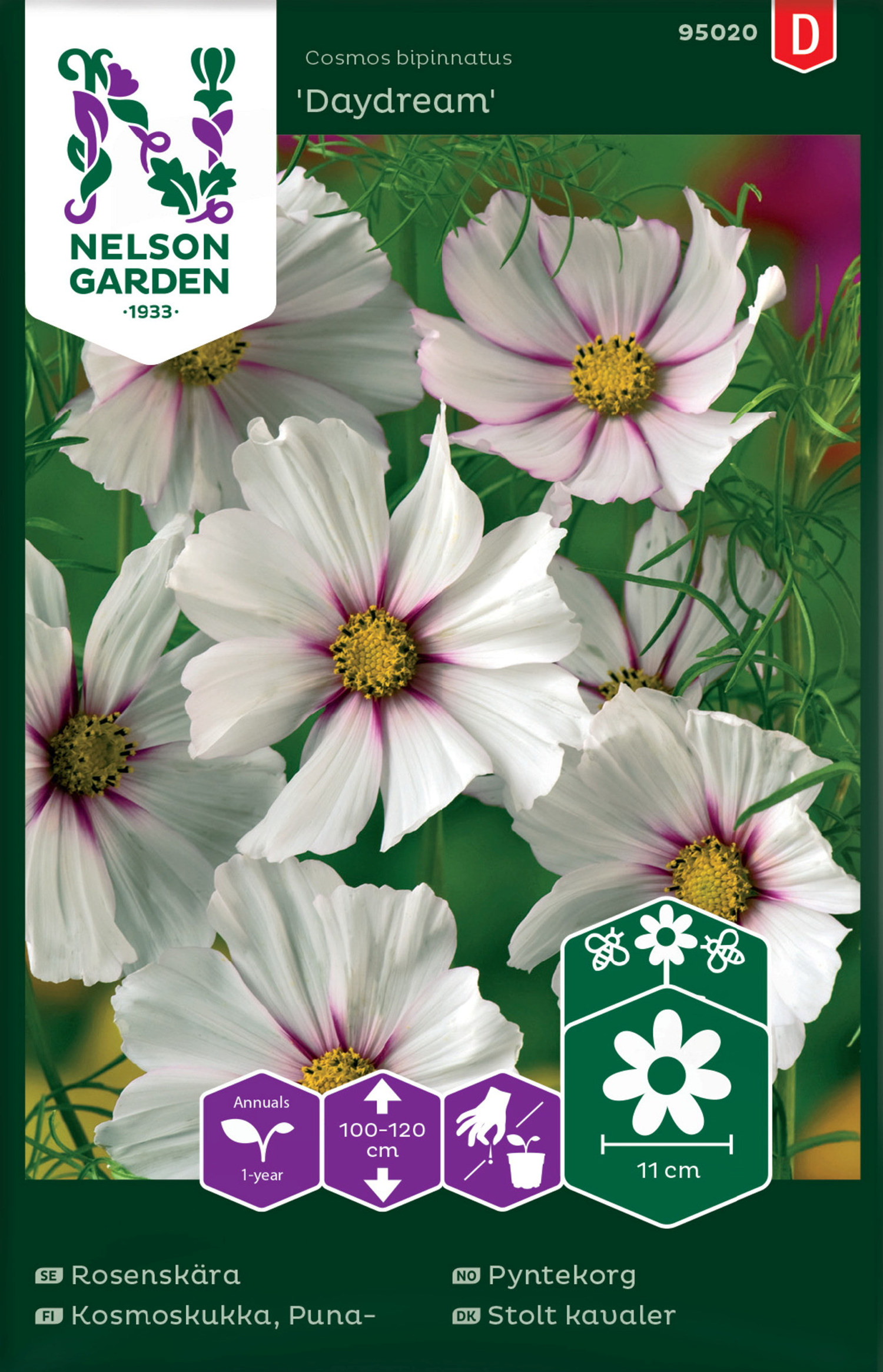 Rosenskära, Daydream