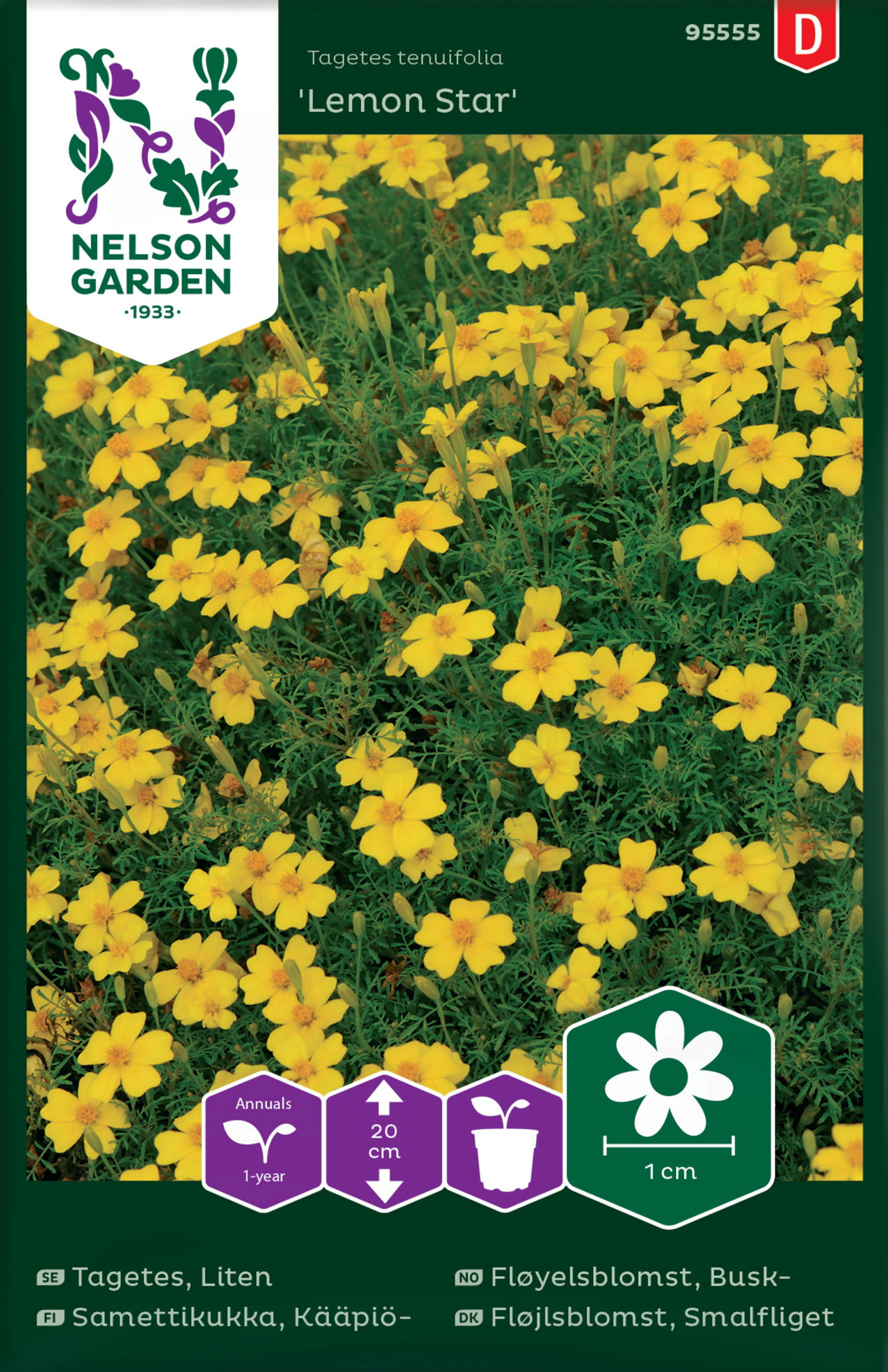 Tagetes, Liten,  Lemon Star