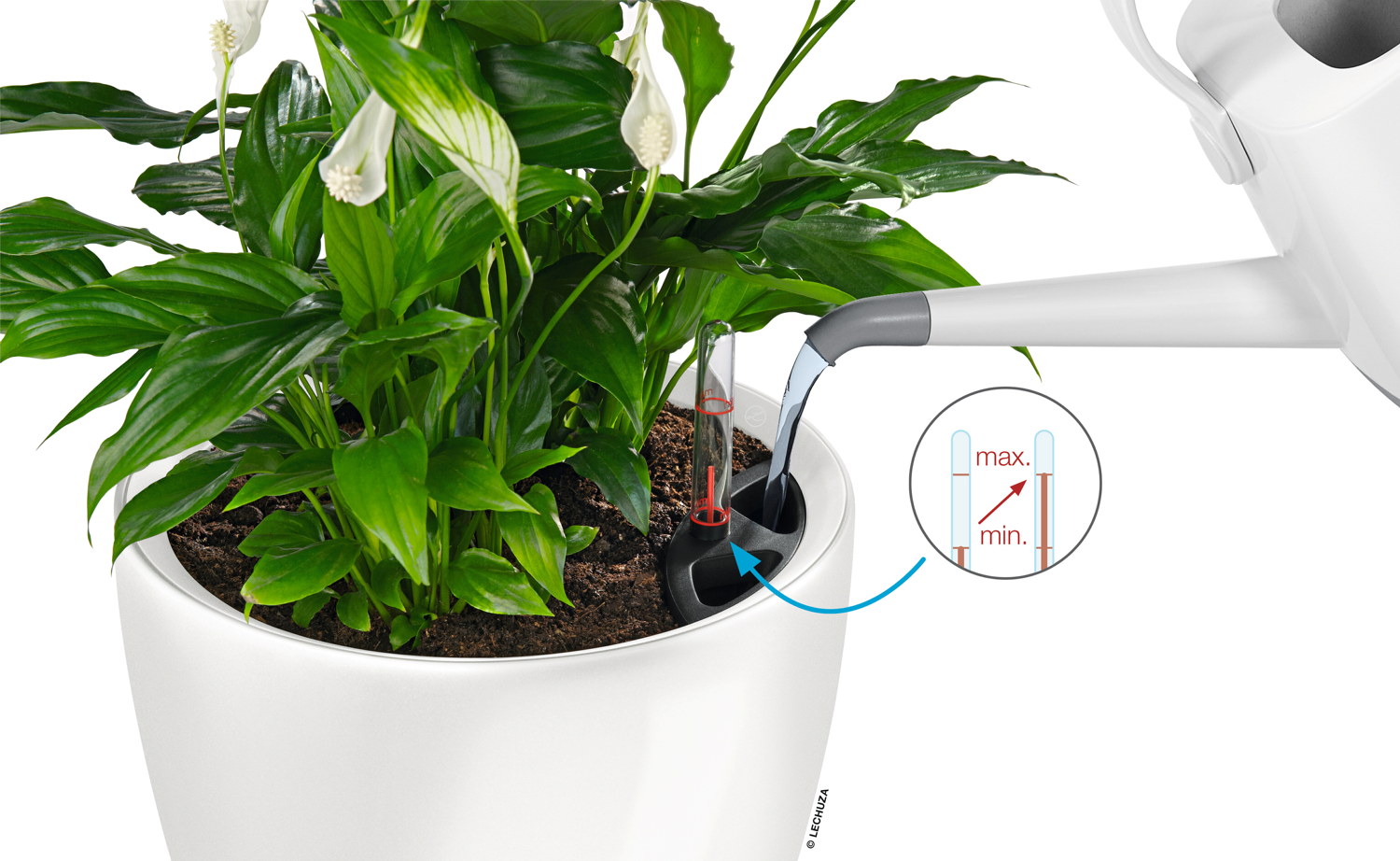 Selfwatering Pot Classico