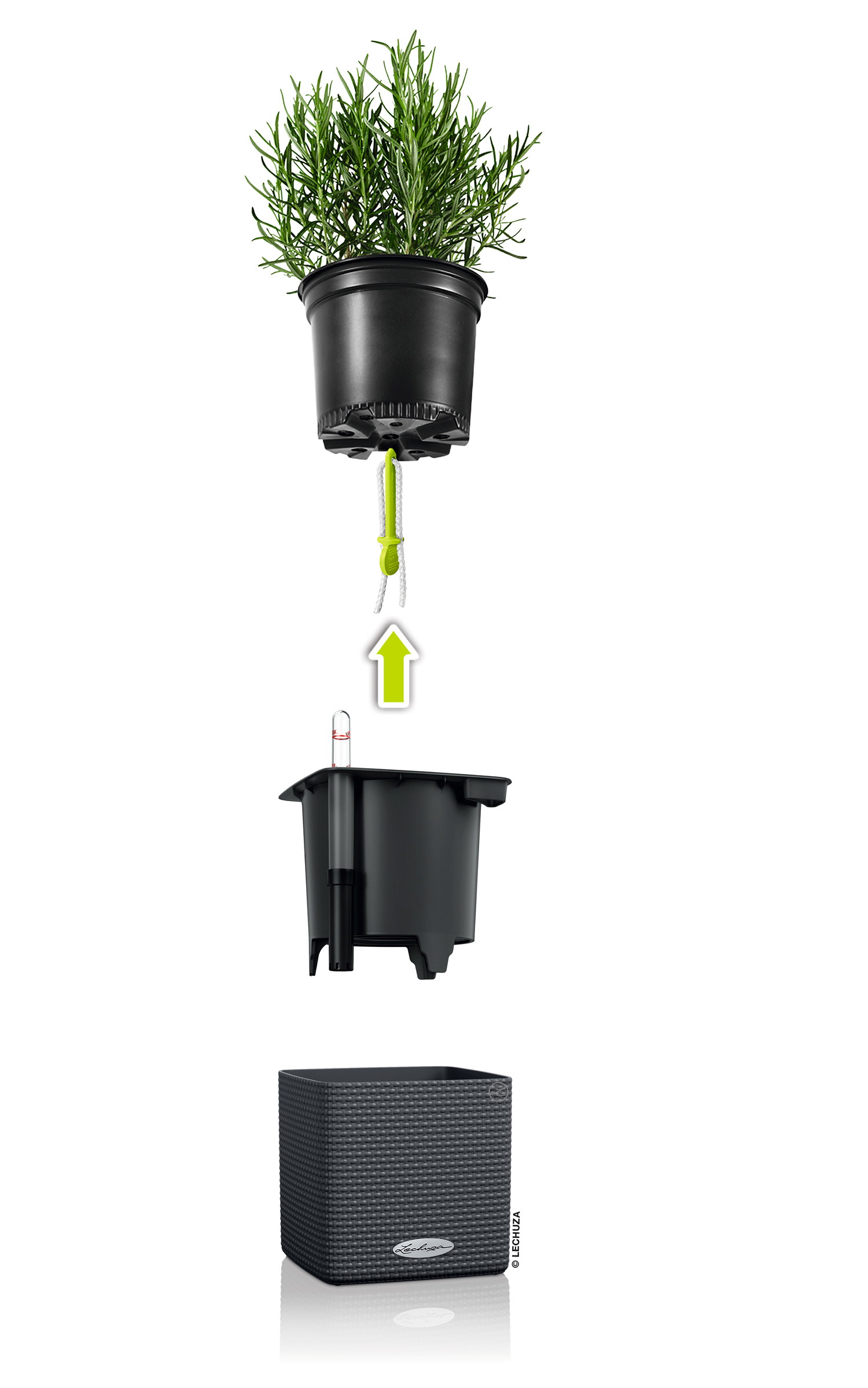 Selfwatering Pot Cube