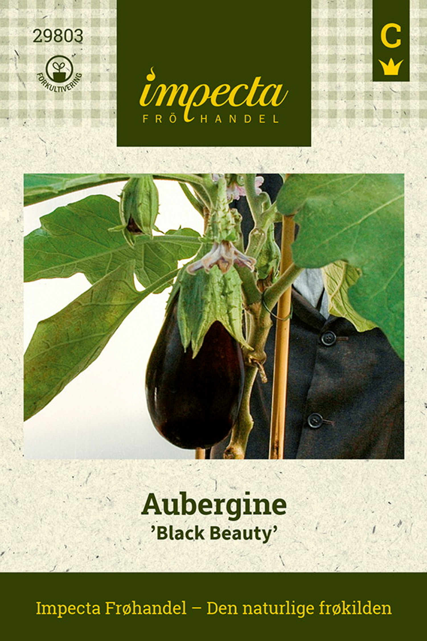 Aubergine 'Black Beauty'
