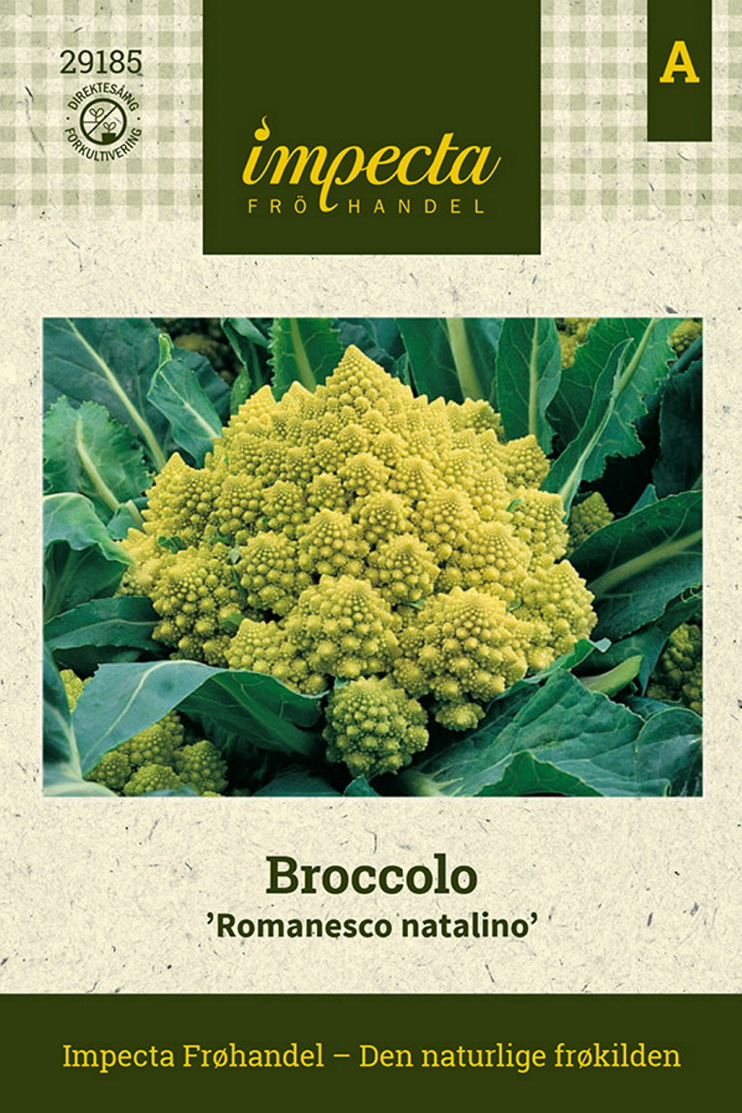 Broccolo 'Romanesco natalino'