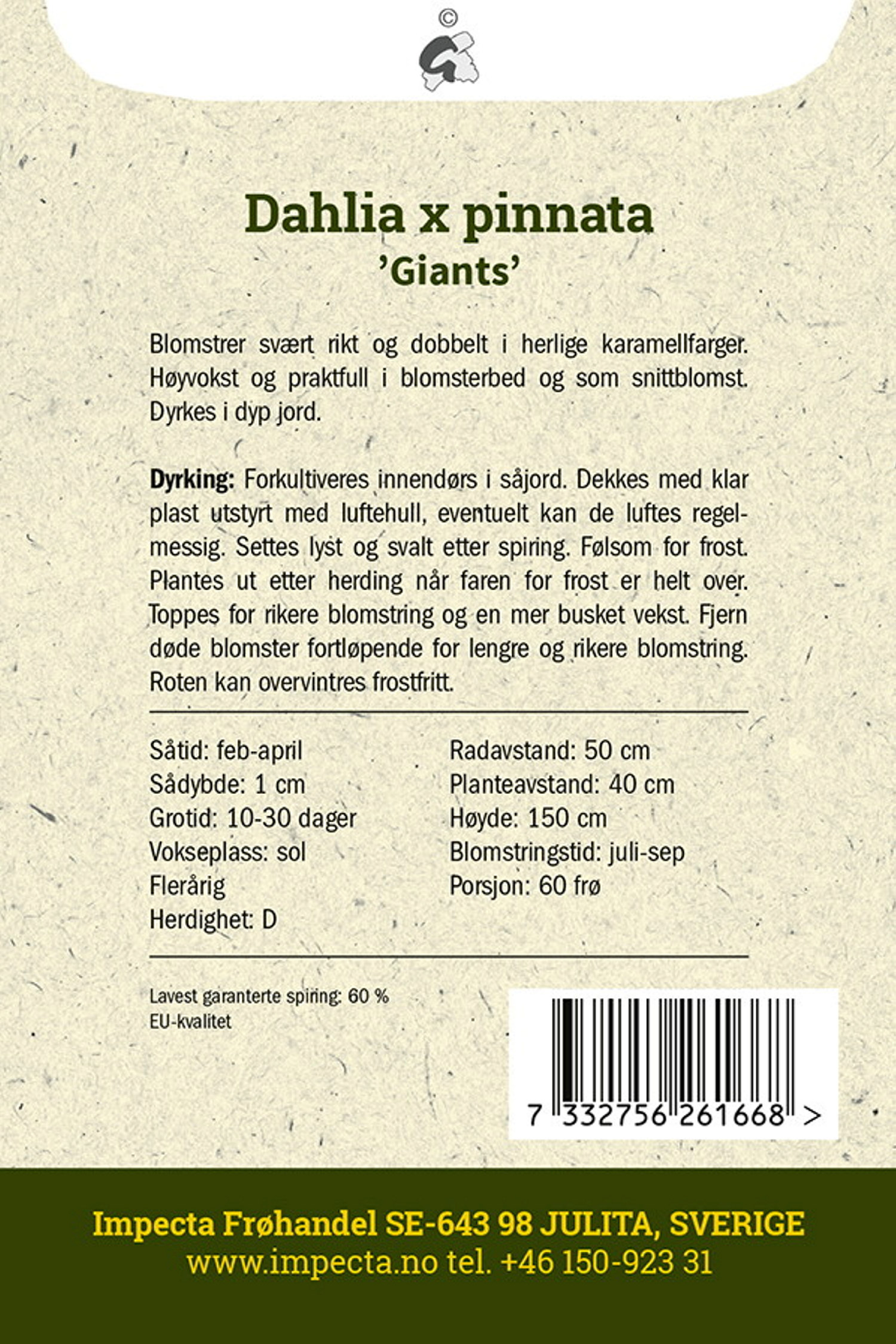 Dekorativ georgine 'Giants'