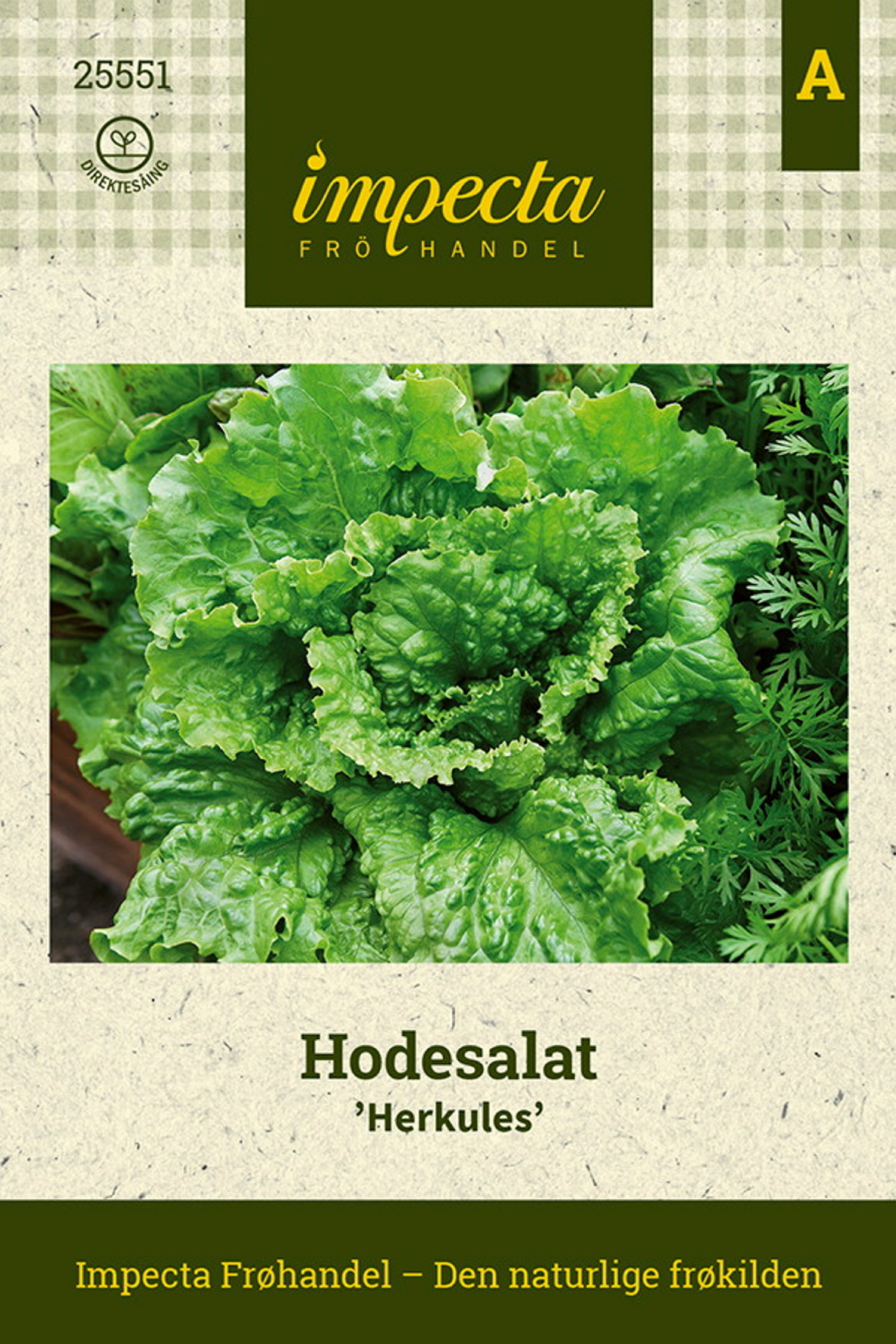 Hodesalat 'Herkules'