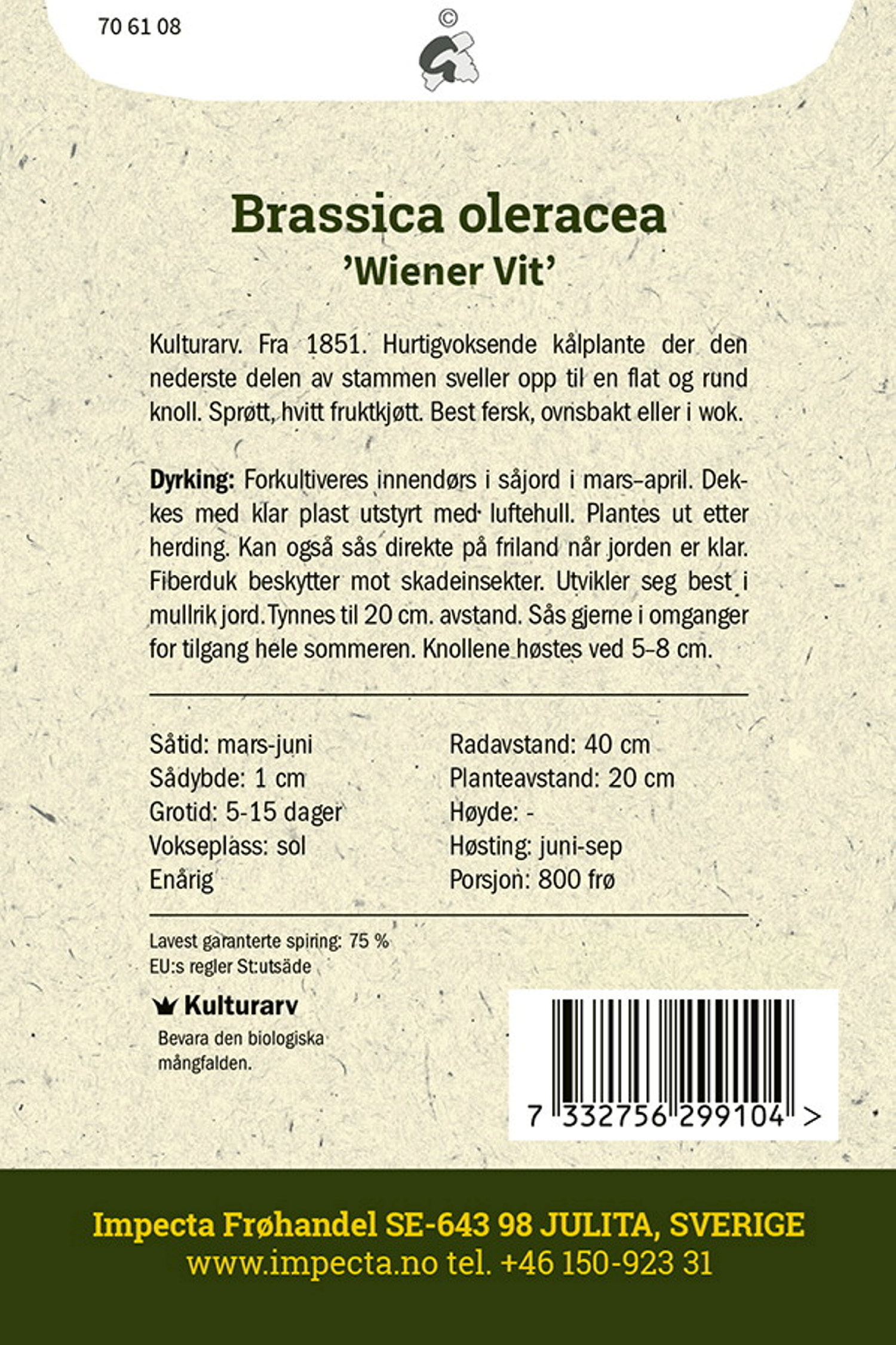 Knutekål 'Wiener Vit'