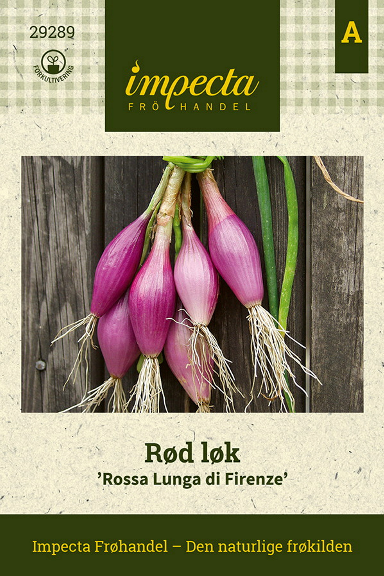 Rød Løk 'Rossa Lunga di Firenze'