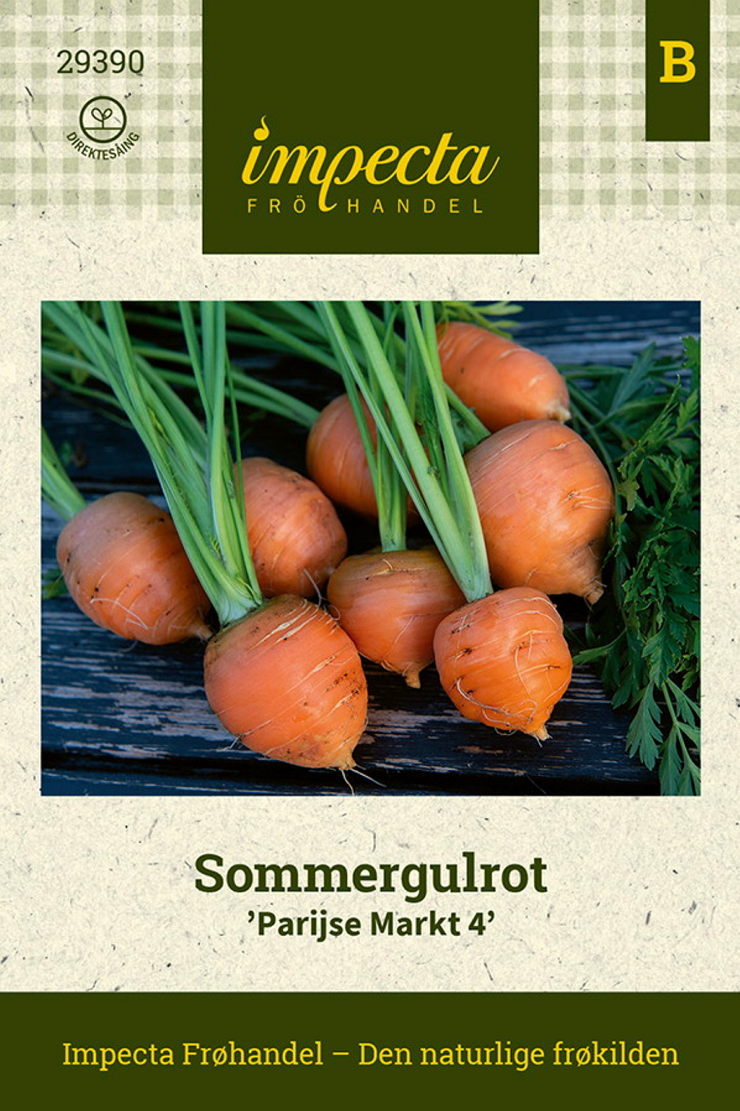 Sommergulrot 'Parijse Markt 4'