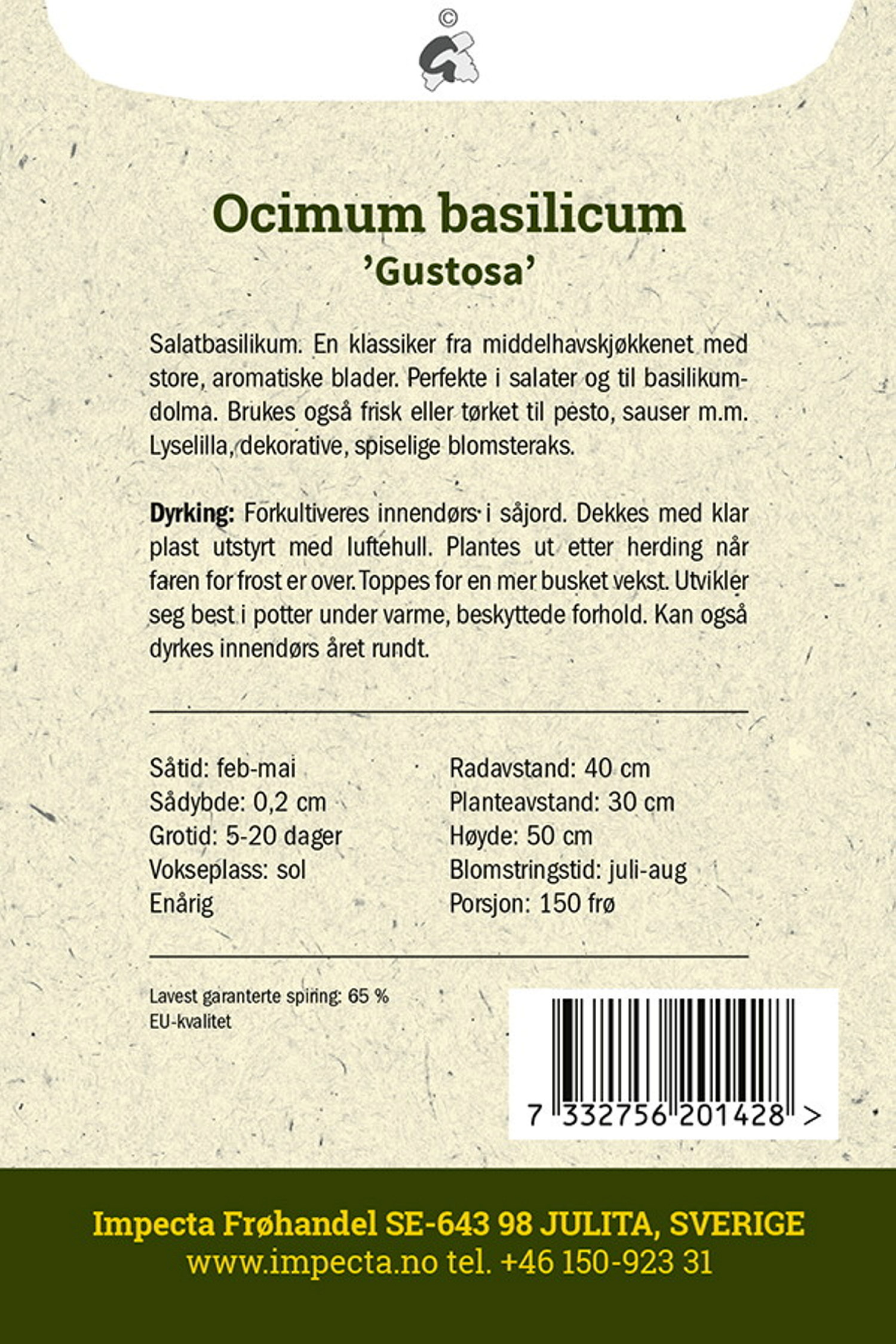 Storbladet basilikum 'Gustosa'