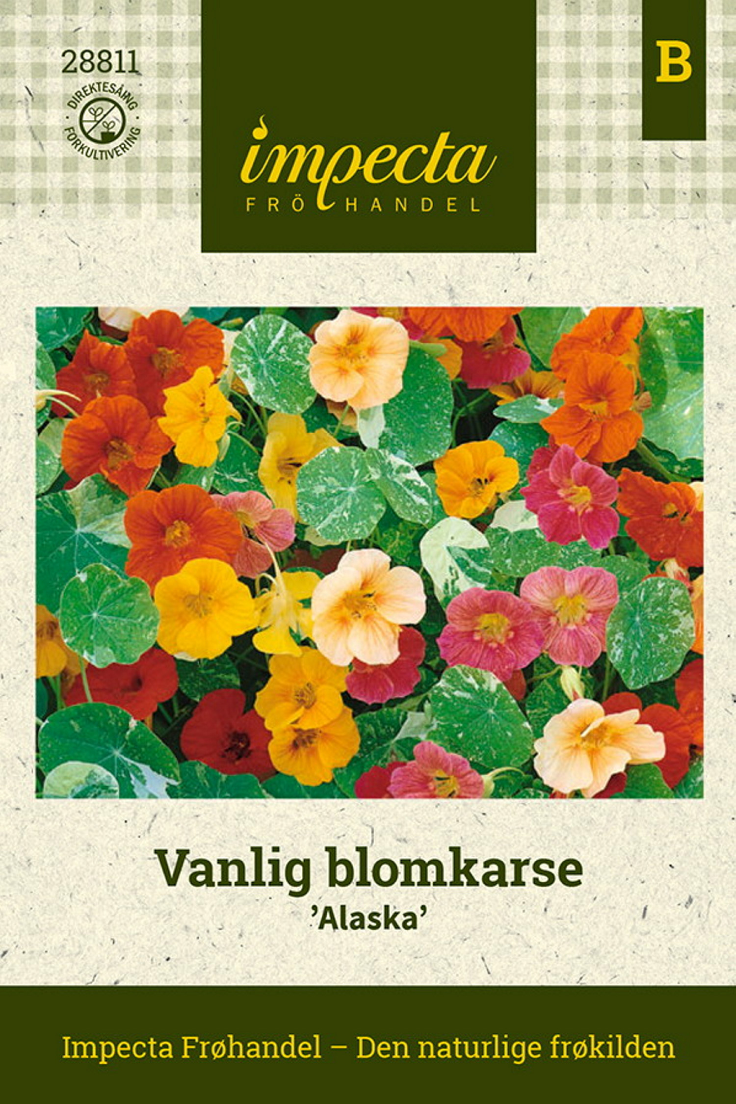 Vanlig blomkarse 'Alaska'