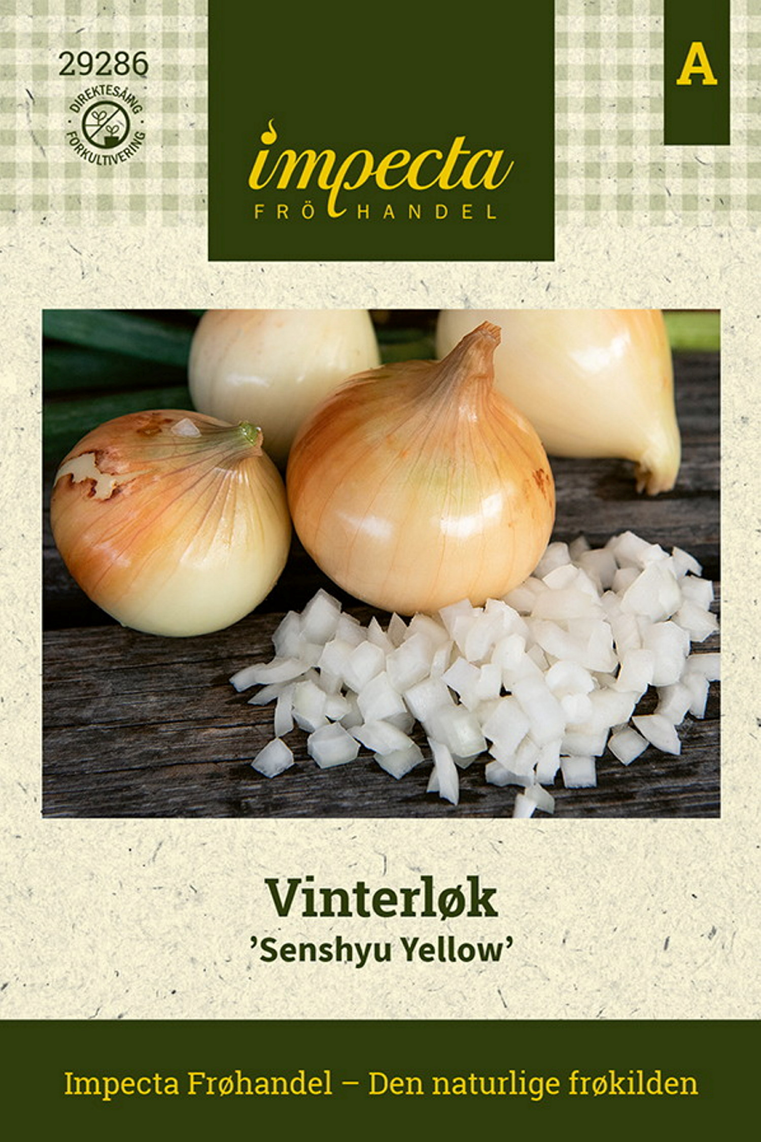 Vinterløk 'Senshyu Yellow'