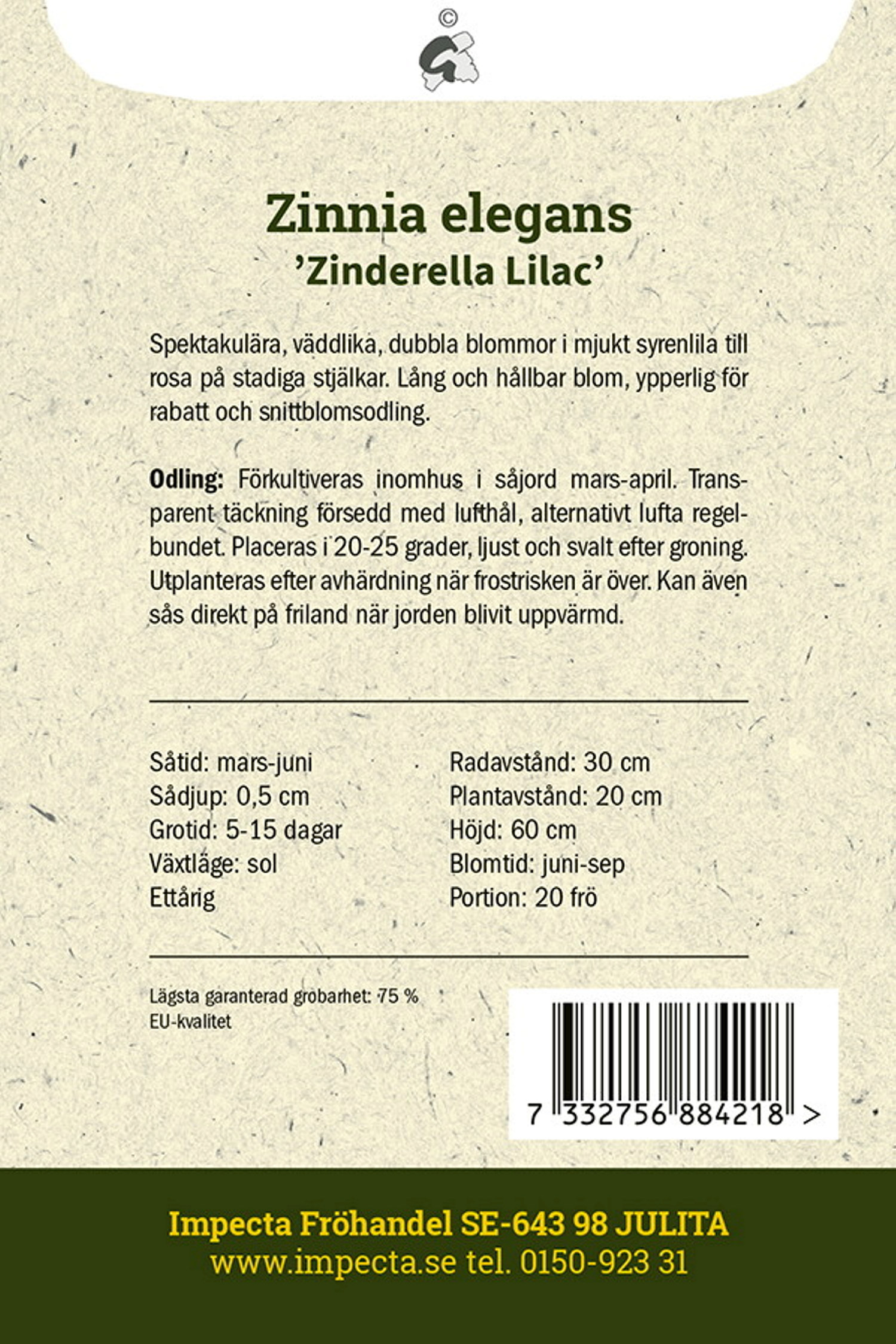 Zinnia 'Zinderella Lilac'