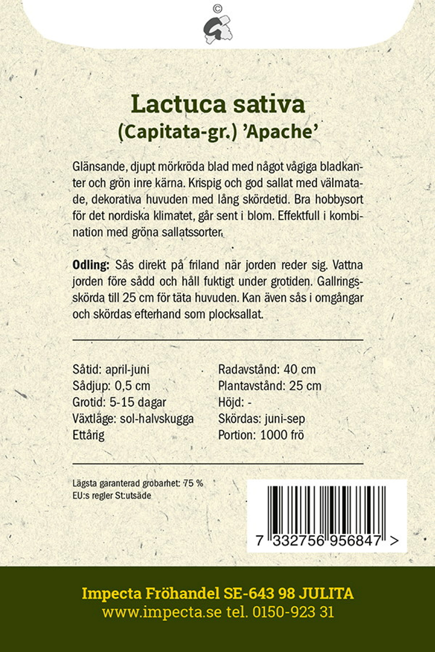 Huvudsallat 'Apache'