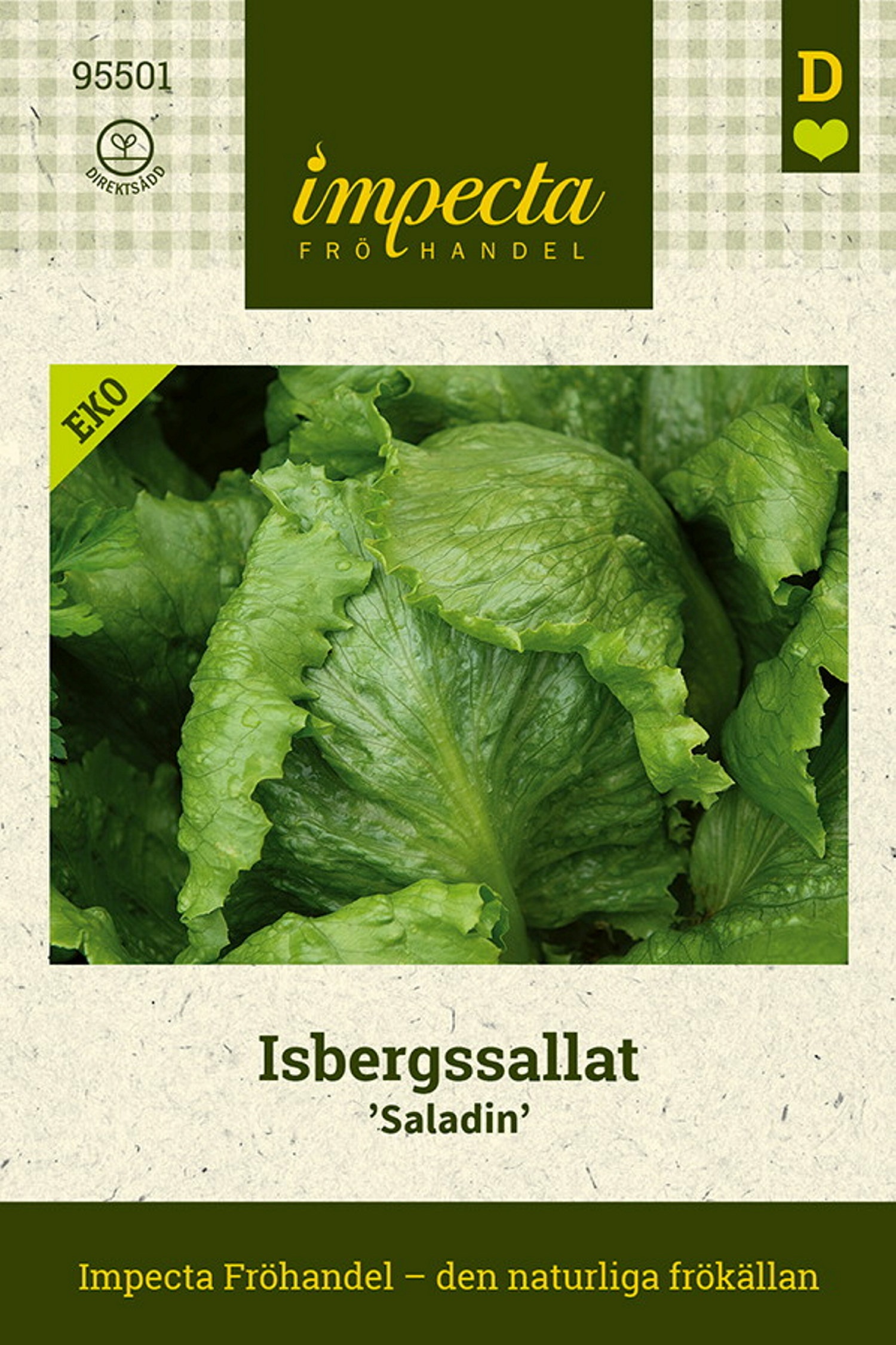 Isbergssallat 'Saladin'