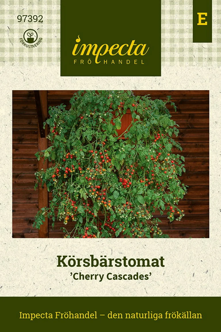 Körsbärstomat Cherry Cascades