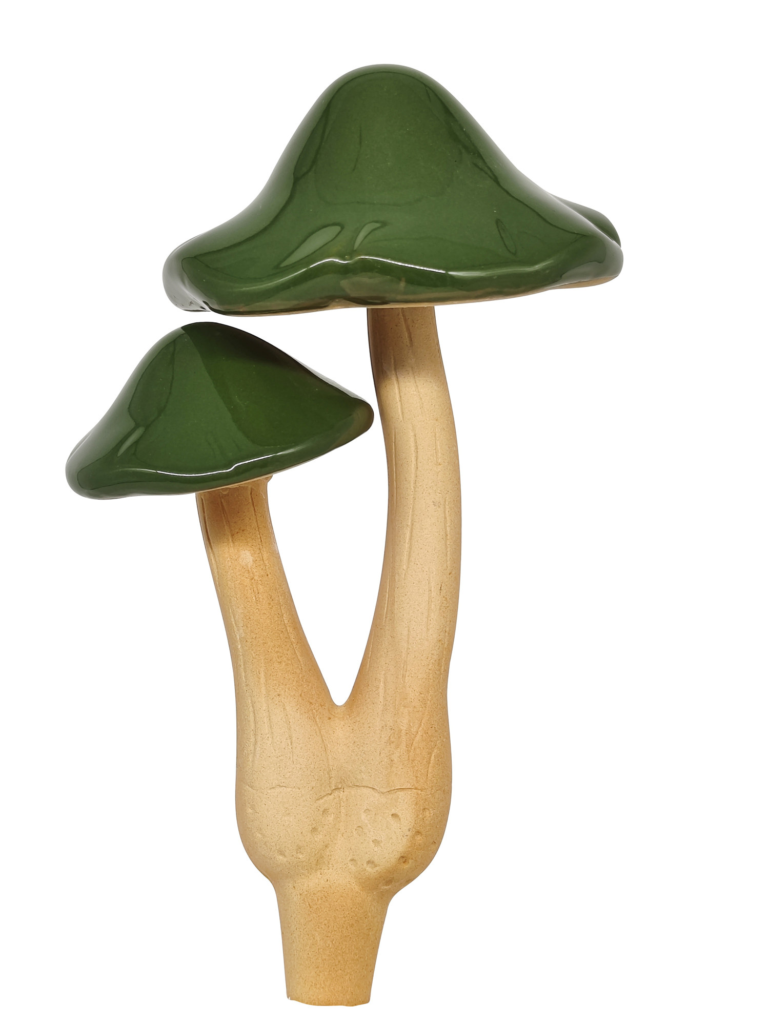 Dekorasjonssopp Fungi