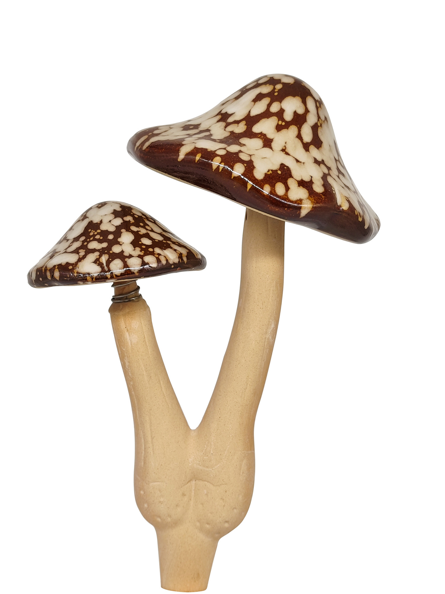 Dekorasjonssopp Fungi