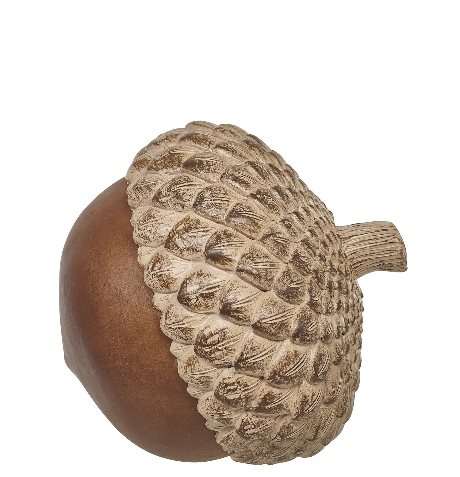 Scrat acorn D16 brown