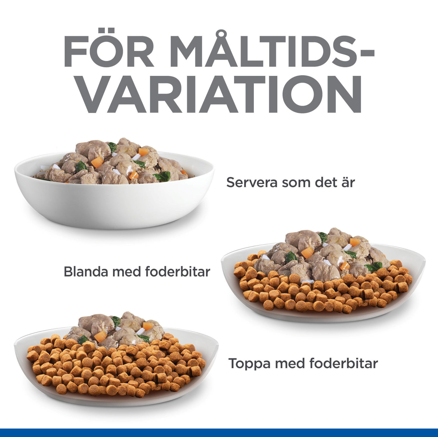 Hill's SP Ca Adult Small&Mini Ckn&Bf 12x80G