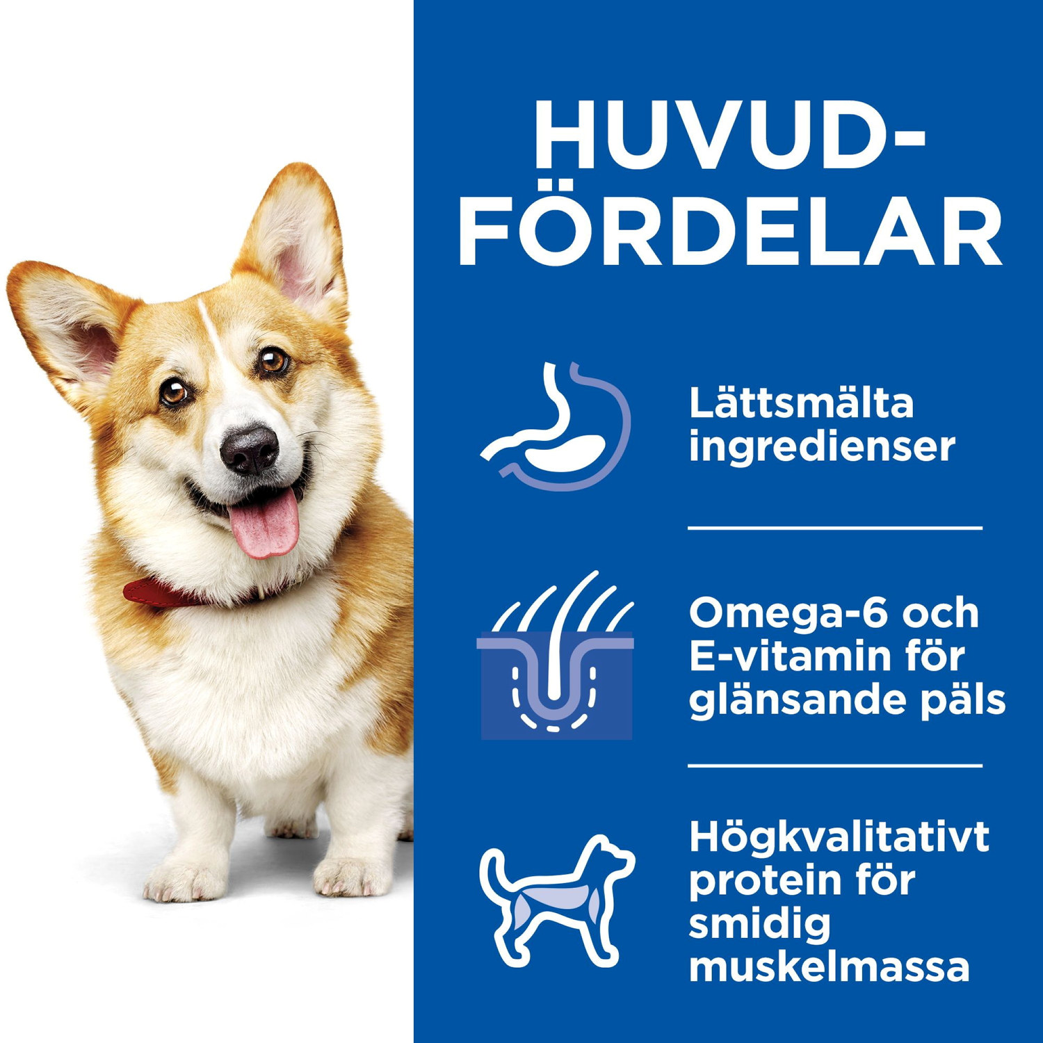 Hill's SP Ca Adult Small&Mini Ckn&Bf 12x80G