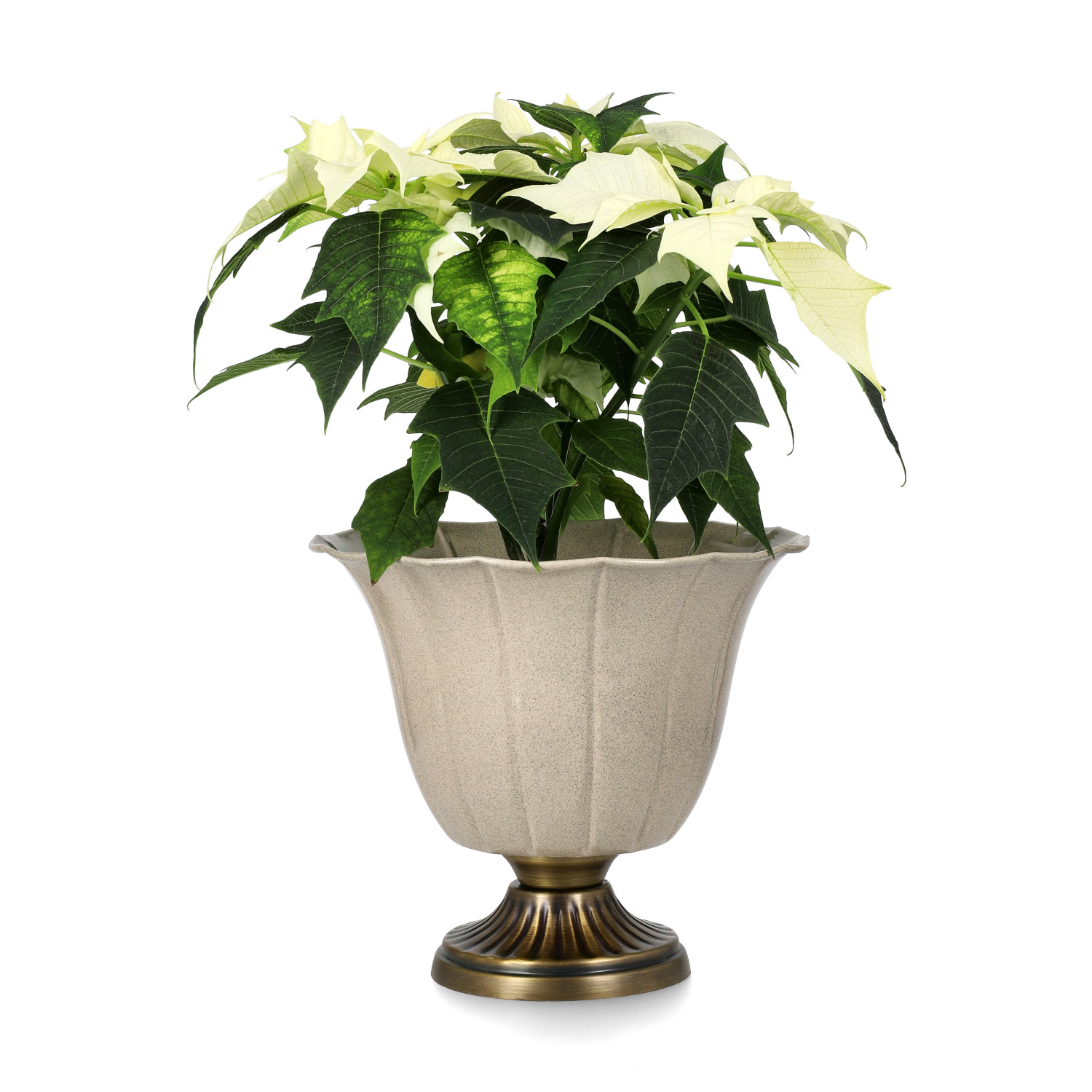 Sandie pot D 24 beige brass