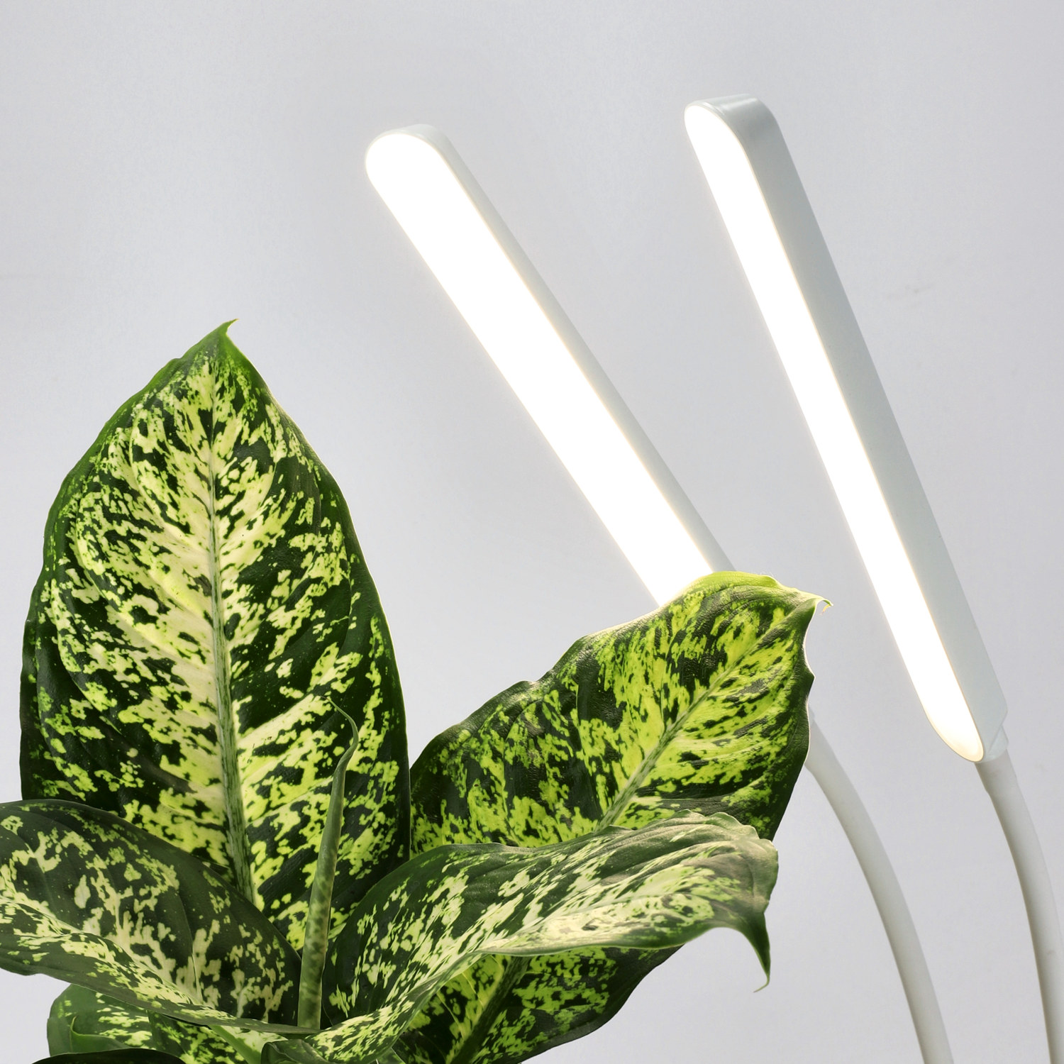 Plantelys LED 16W Apollo