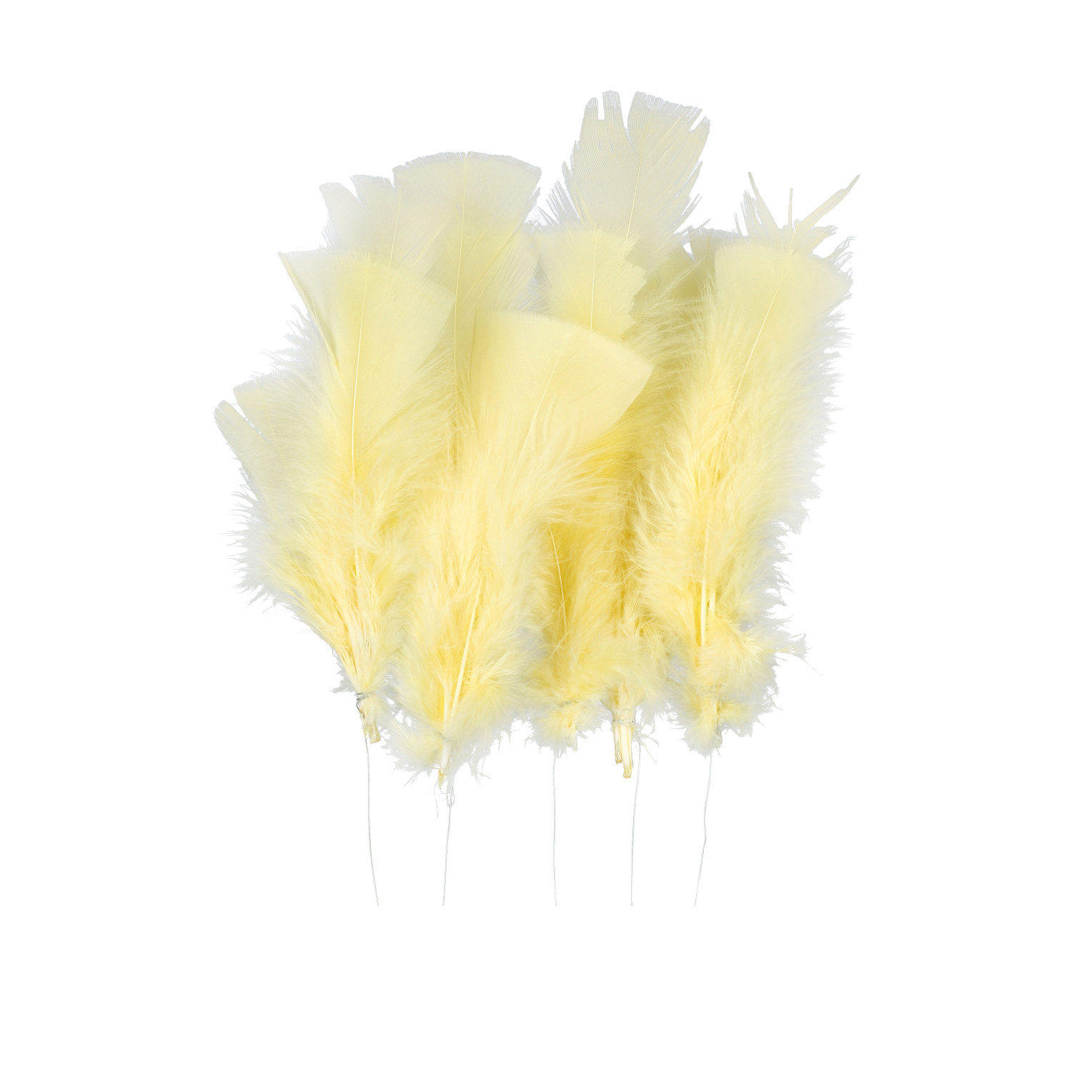 Easter decor Feather