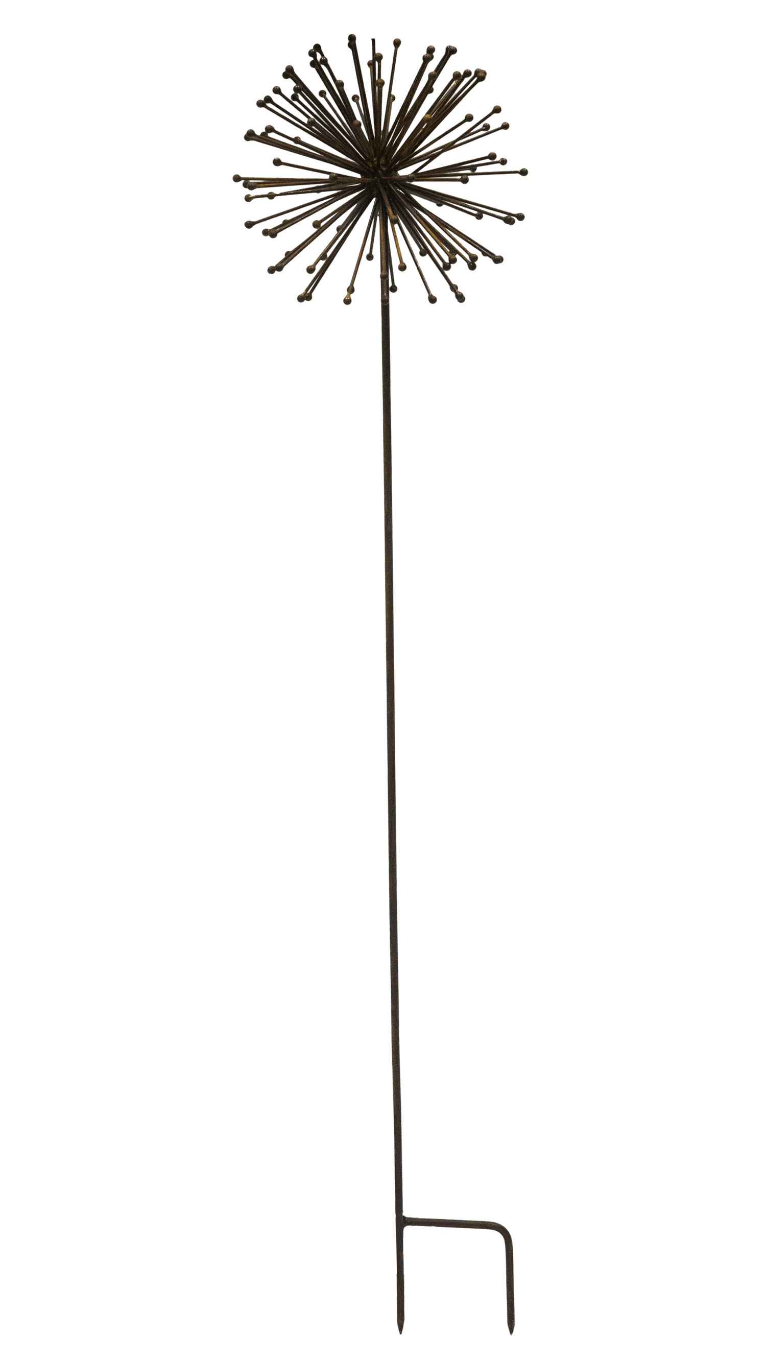 Dekorationspinne Allium