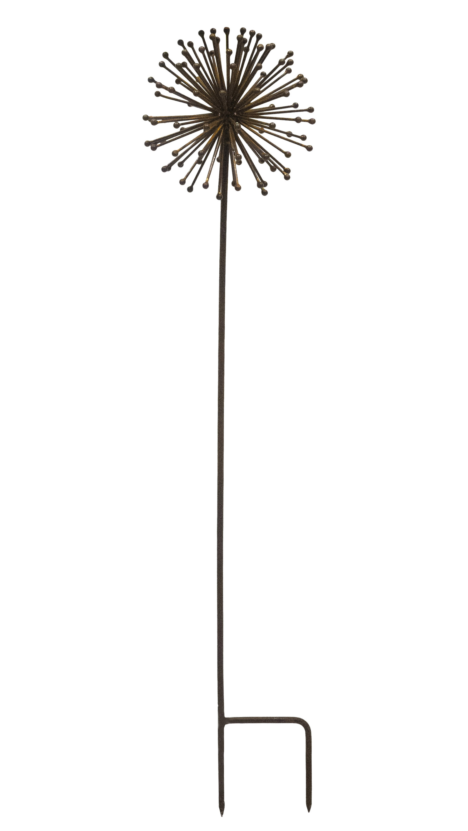 Dekorationspinne Allium