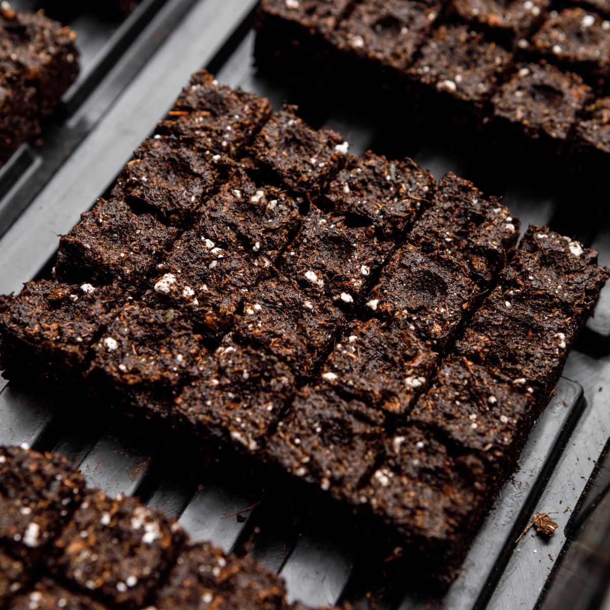 Jordblockpress för sådd "Soil blocker"