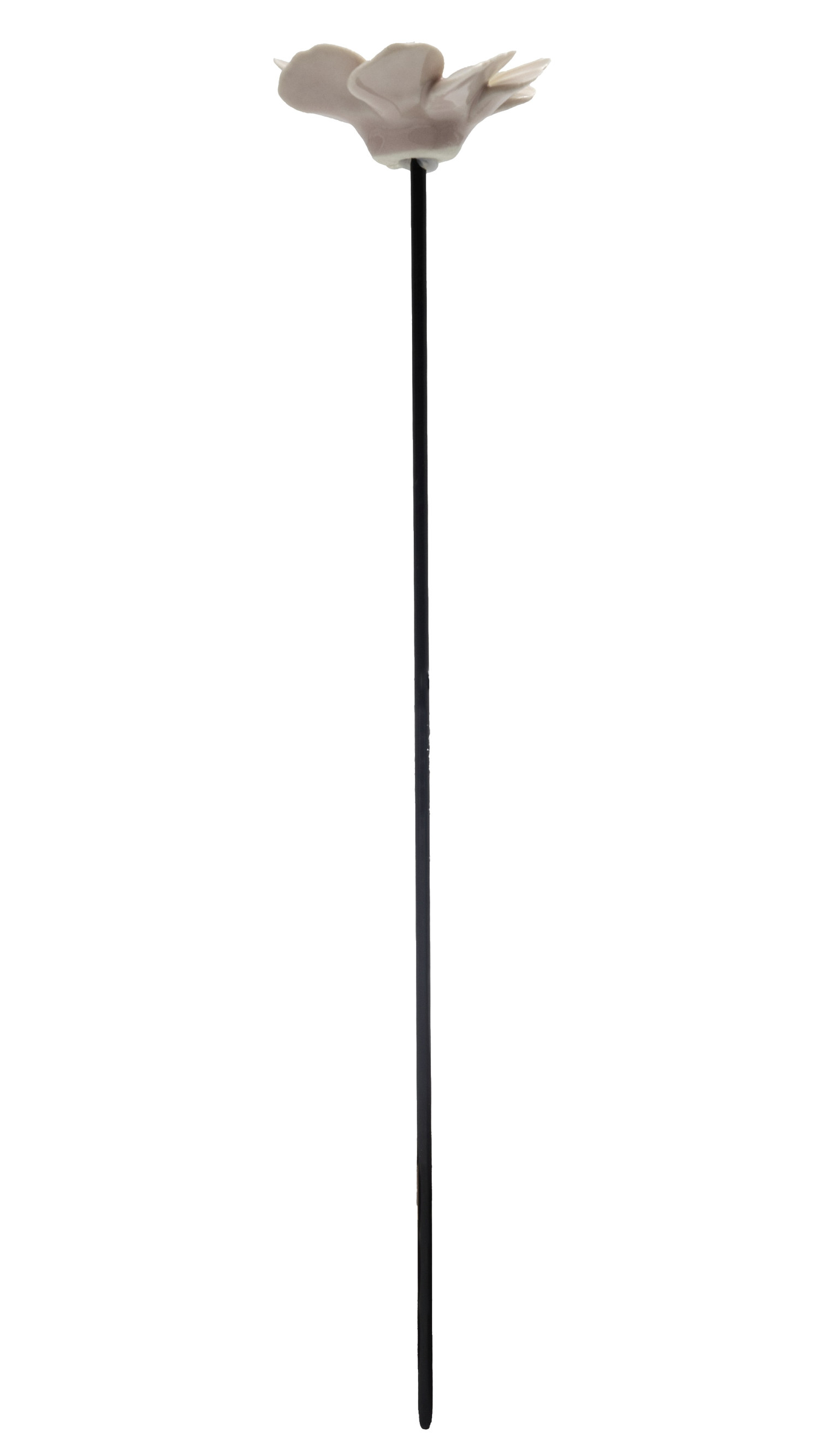 Cosmos stick H21 white