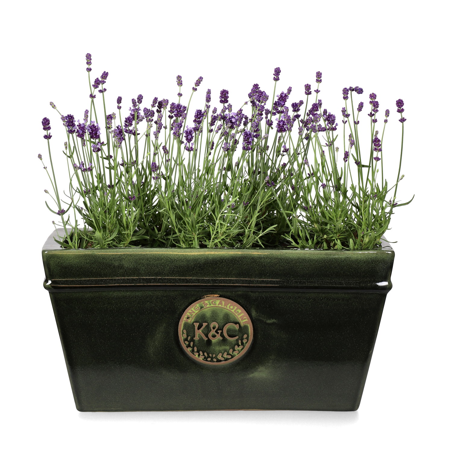 K&C ceramic planter L45 green