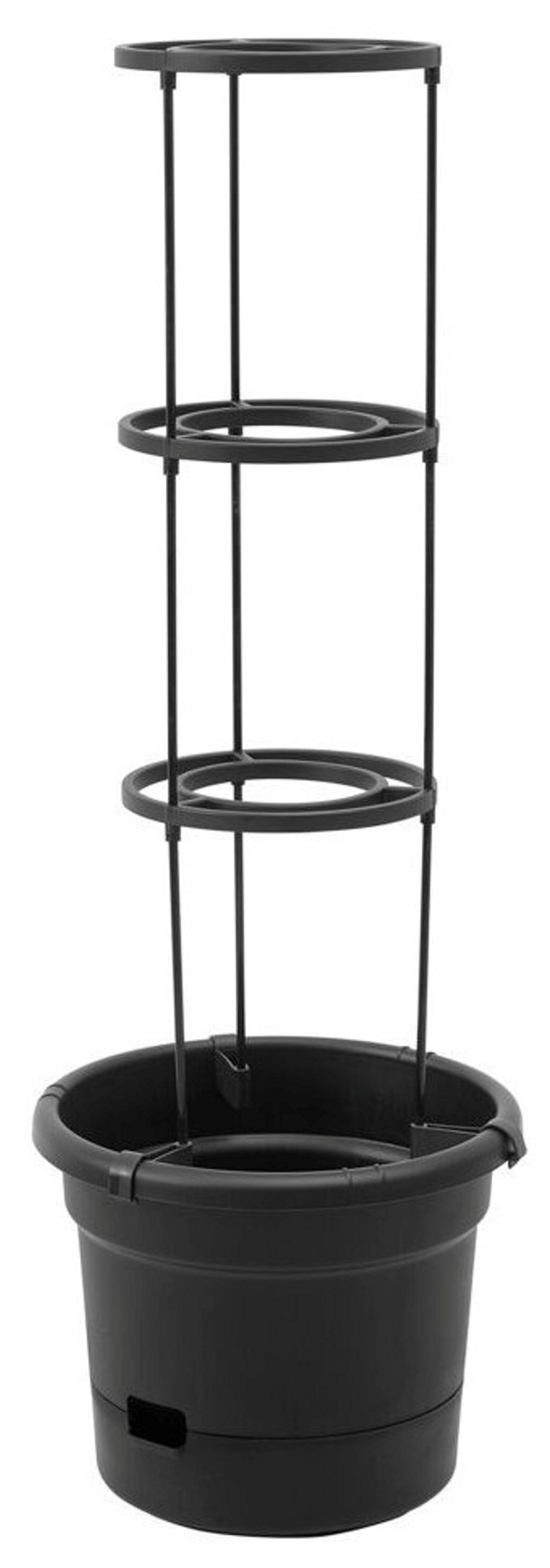 Tomato Pot 33 D Black 2024