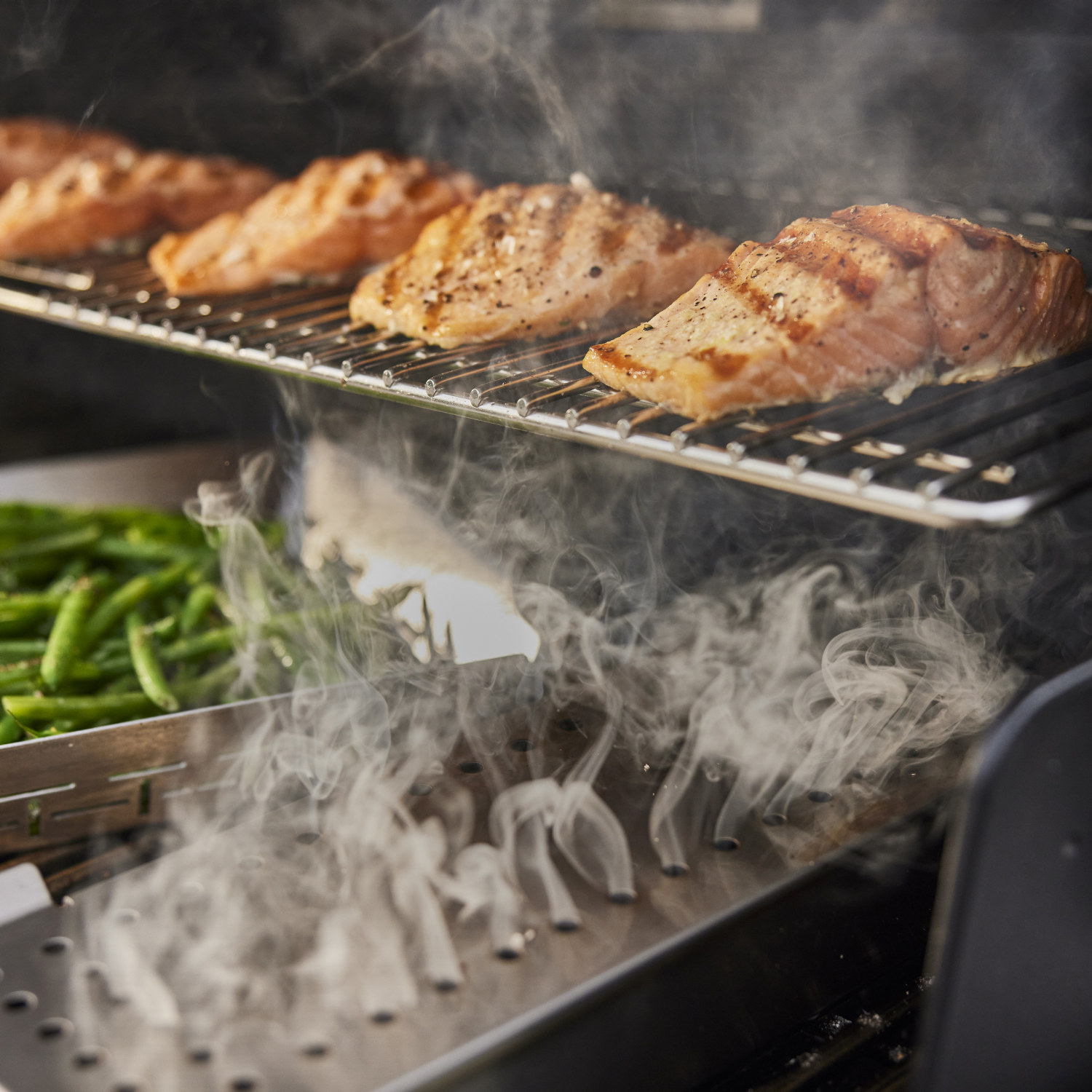 Gas Grill Summit E FS38