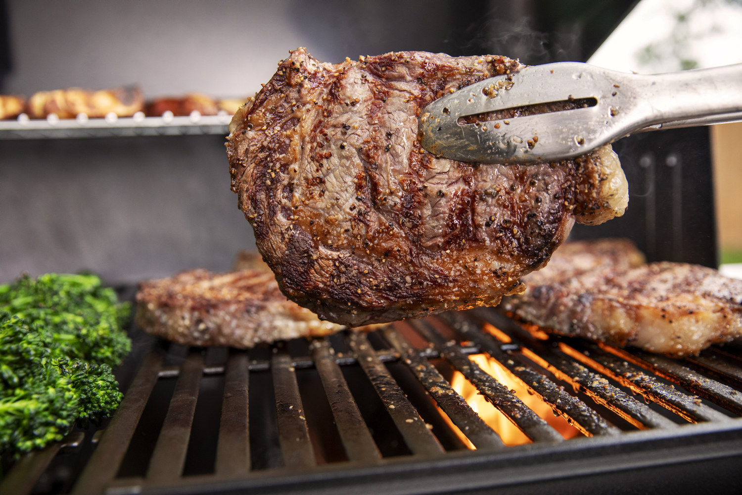 Gasolgrill Genesis E-315