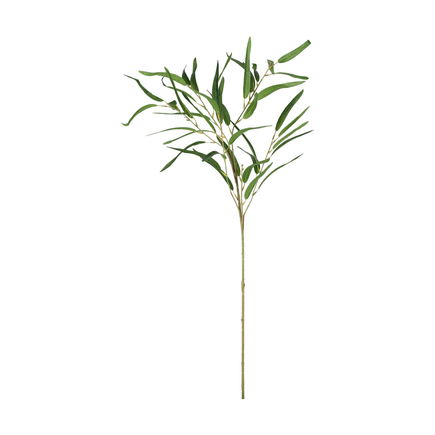 Eukalytpus konstgjord