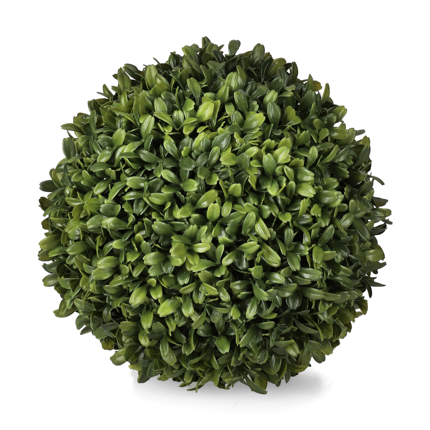 Buxus ball D22 green