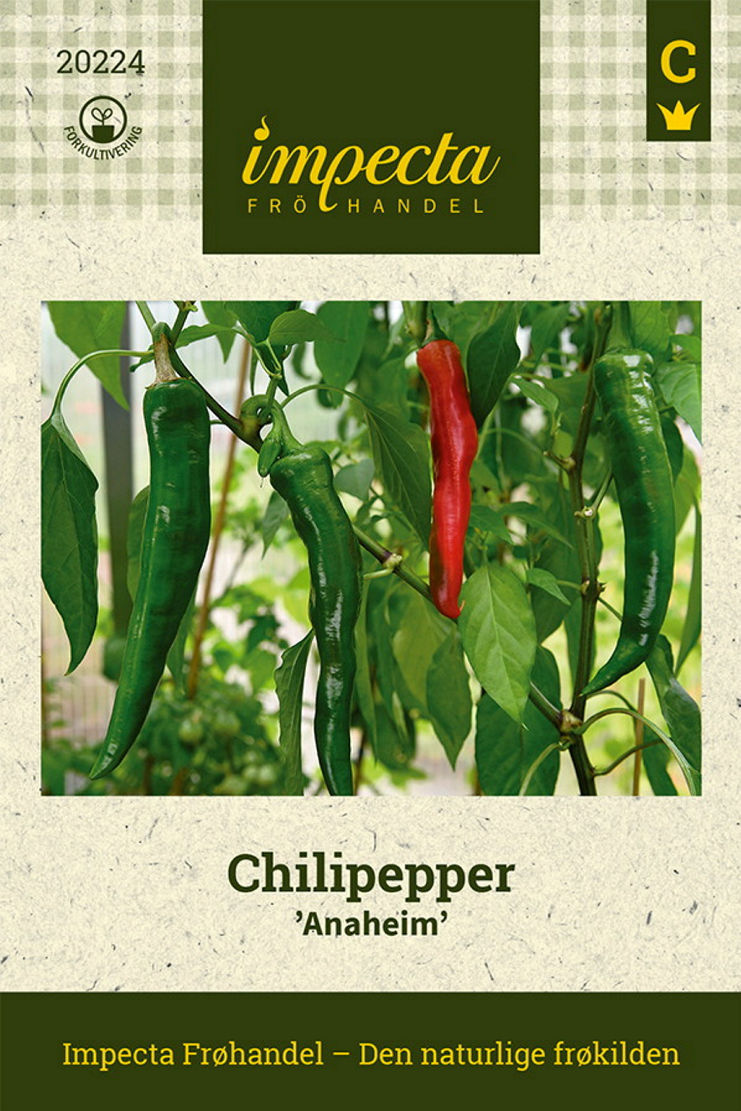 Chilipepper 'Anaheim Chili'